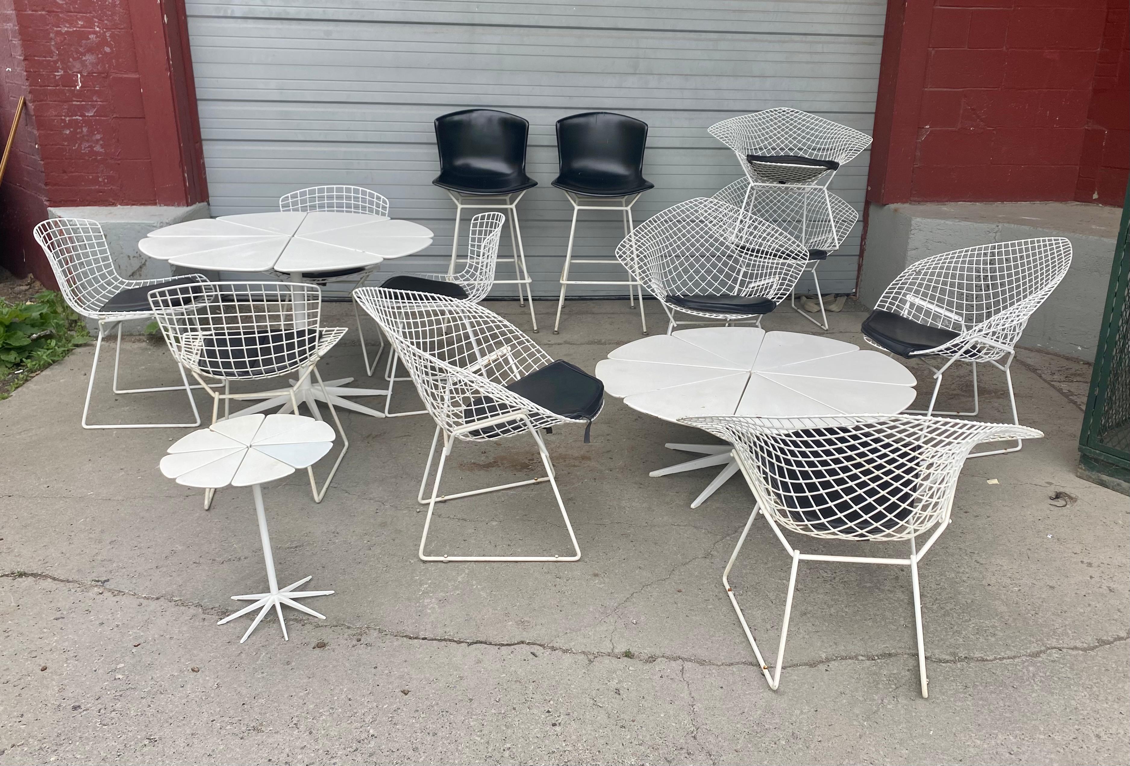 Set 6 Modernist Wire Mesh Diamond Chairs, Harry Bertoia for Knoll 1