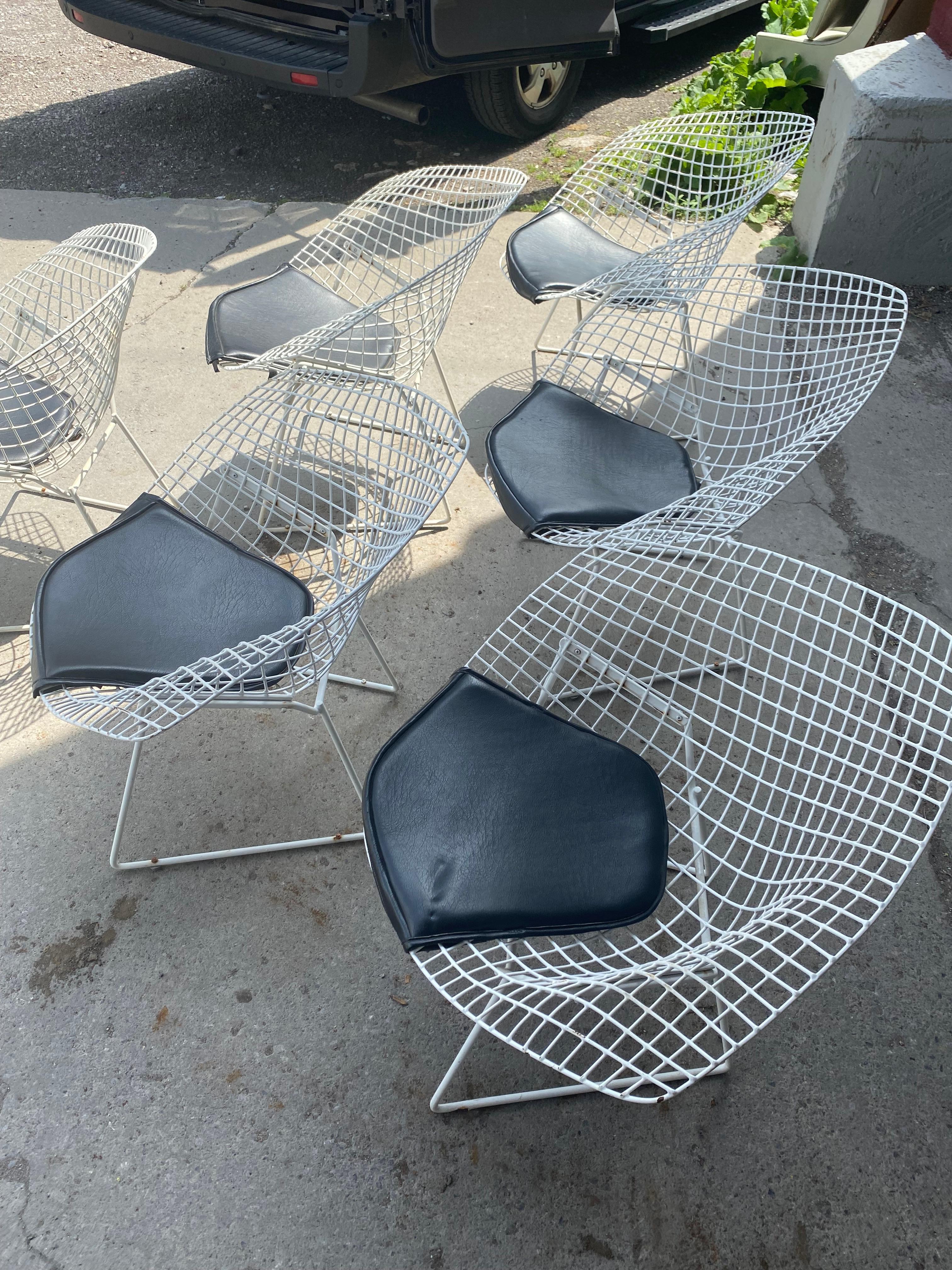 Set 6 Modernist Wire Mesh Diamond Chairs, Harry Bertoia for Knoll In Good Condition In Buffalo, NY