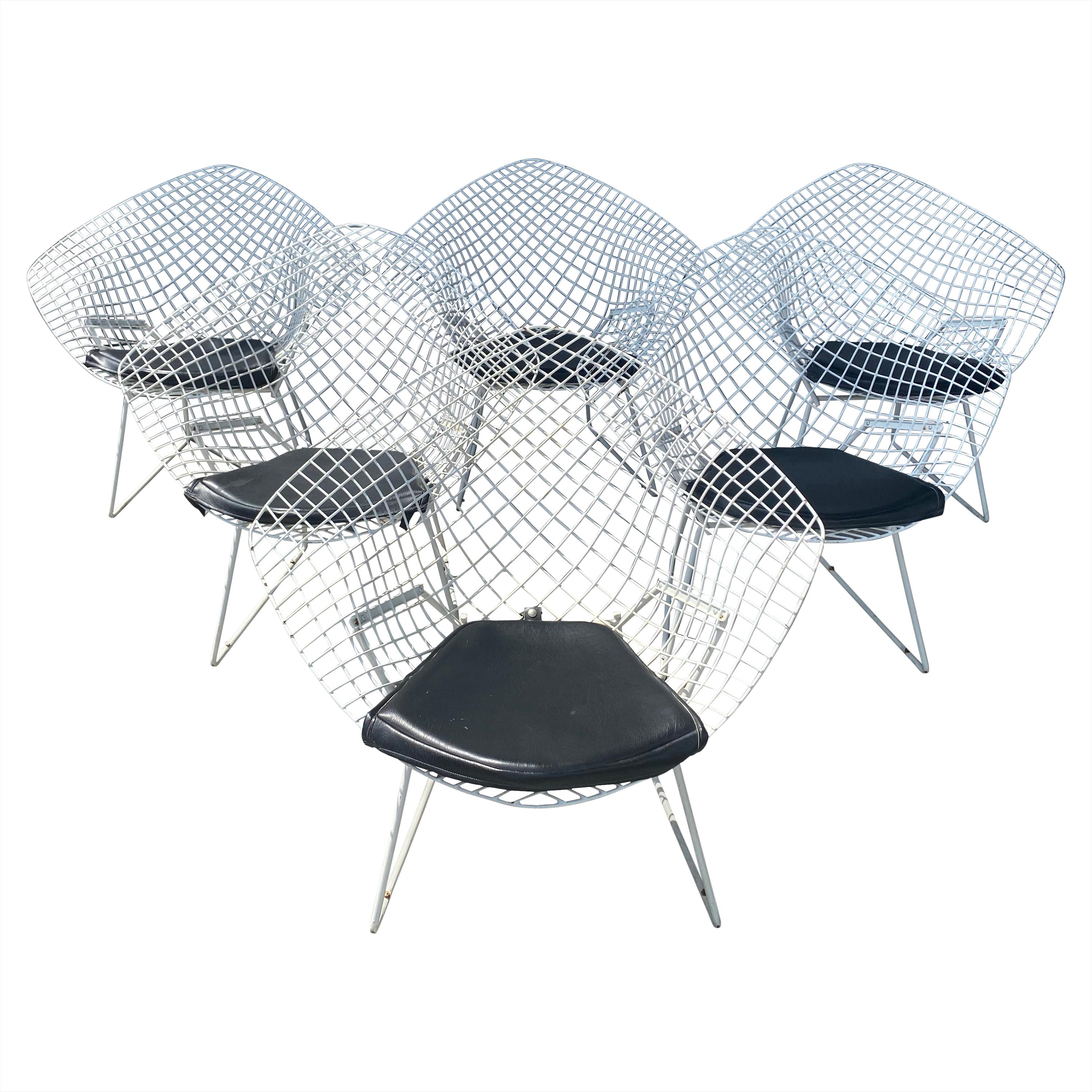 Set 6 Modernist Wire Mesh Diamond Chairs, Harry Bertoia for Knoll