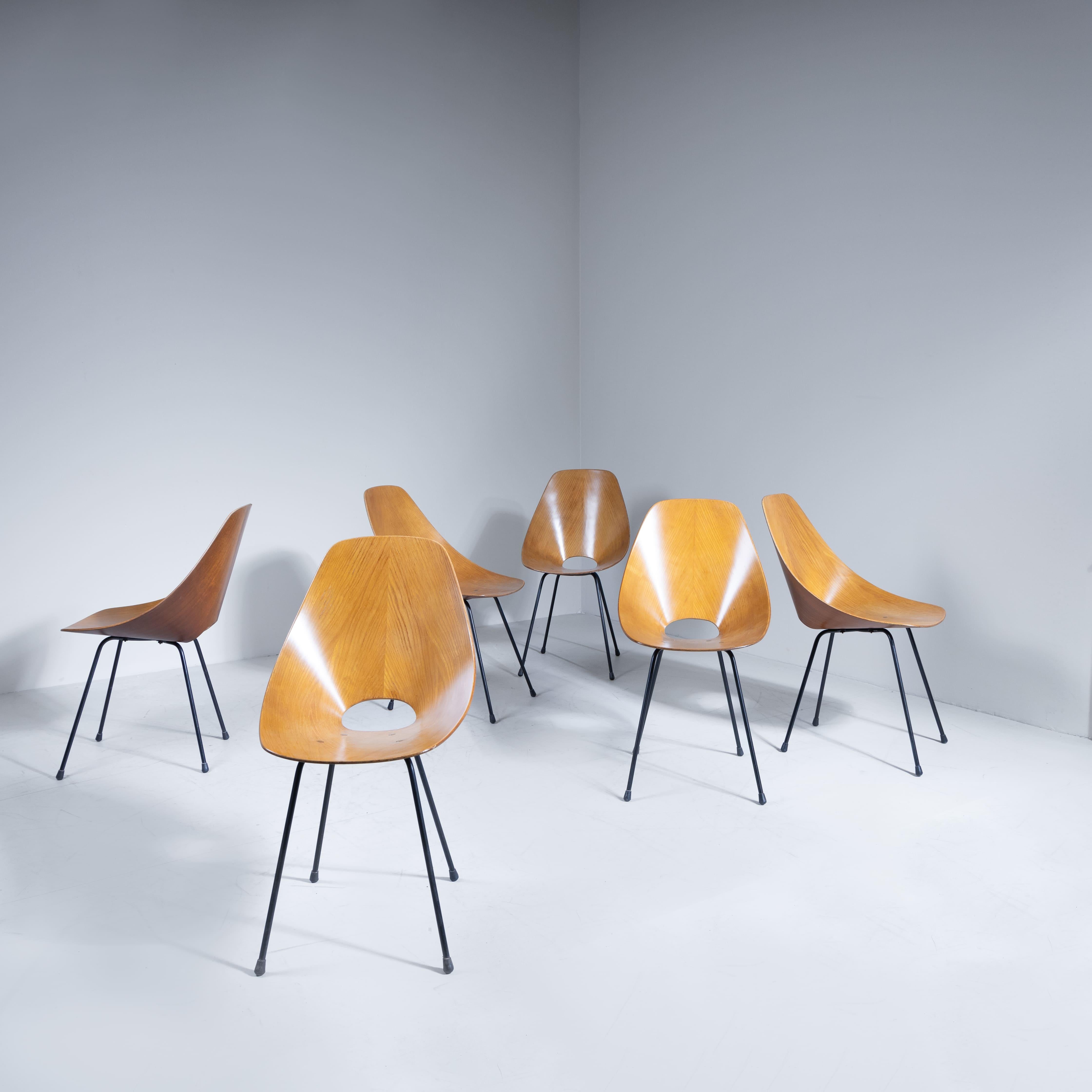 Mid-Century moderno Set 6 sedie Medea, Vittorio Nobili, Fratelli Tagliabue, 1960 in vendita