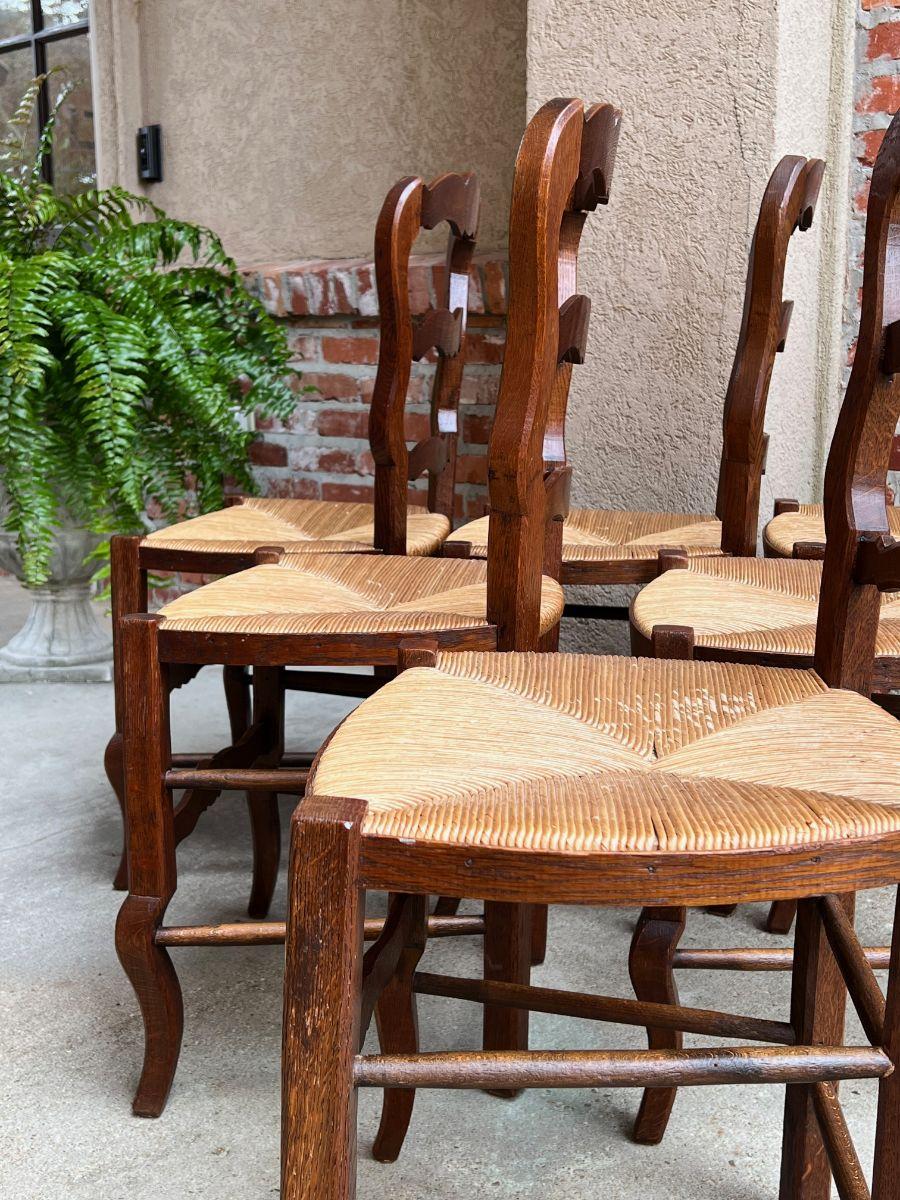 Set 6 Vintage French Carved Oak Ladder Back Dining Kitchen Chair Rush Seat 11