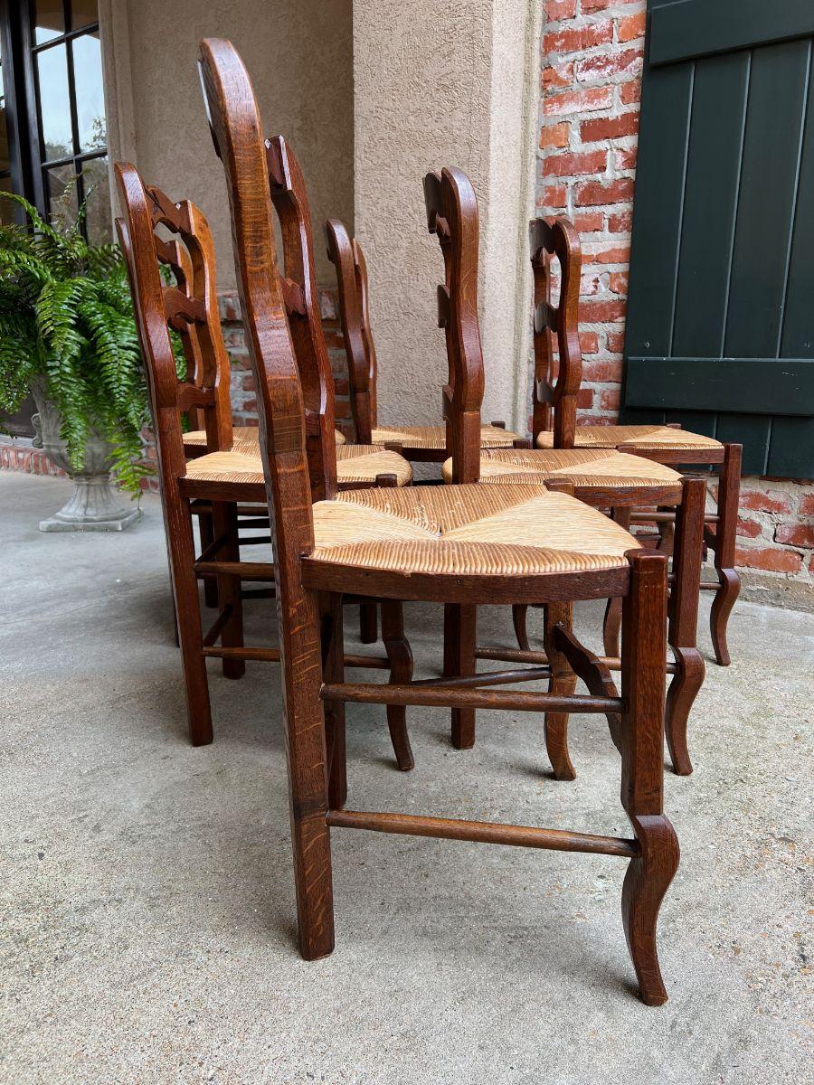 Set 6 Vintage French Carved Oak Ladder Back Dining Kitchen Chair Rush Seat 2
