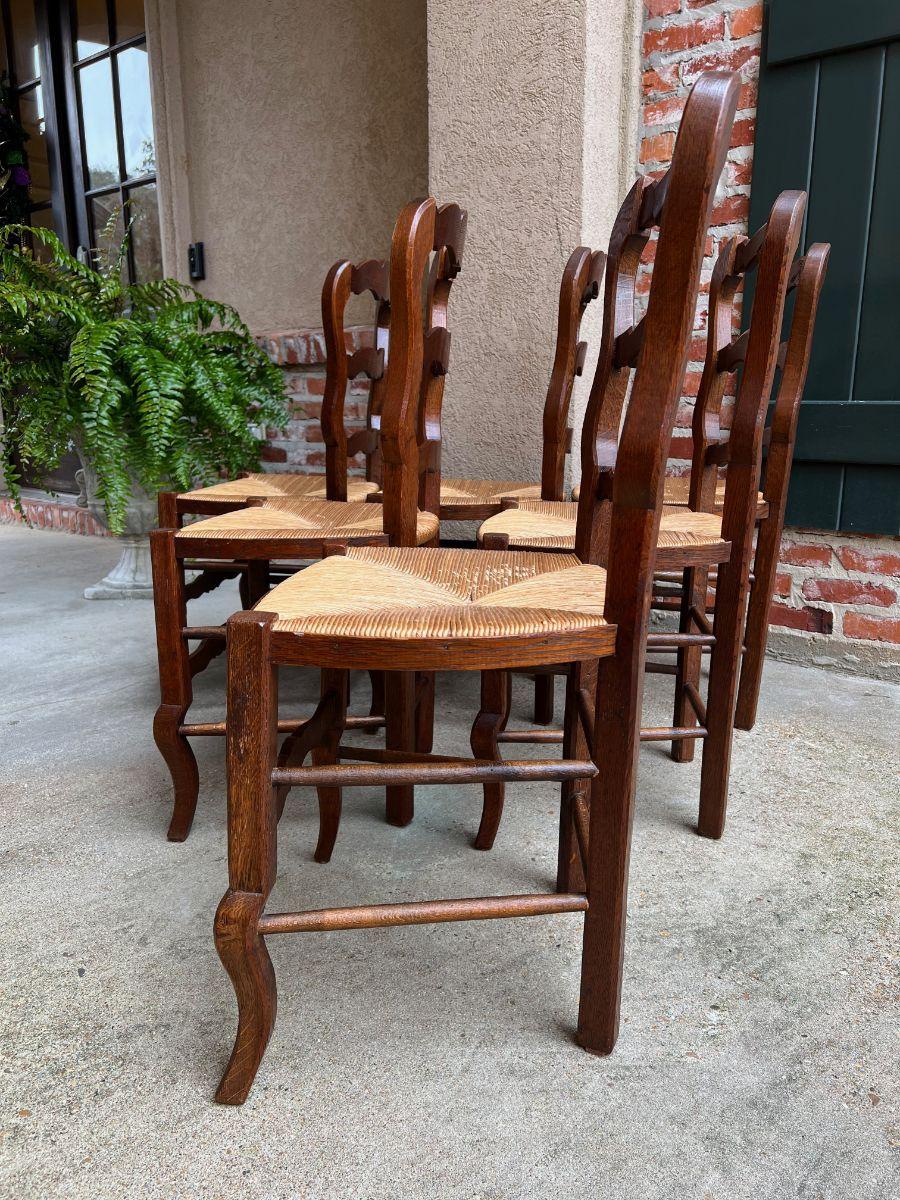 Set 6 Vintage French Carved Oak Ladder Back Dining Kitchen Chair Rush Seat 3
