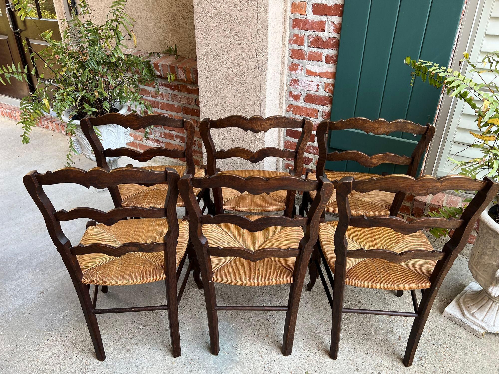 Set 6 Vintage French Dining Chair Rush Seat Louis XV Ladder Back Carved Oak 15