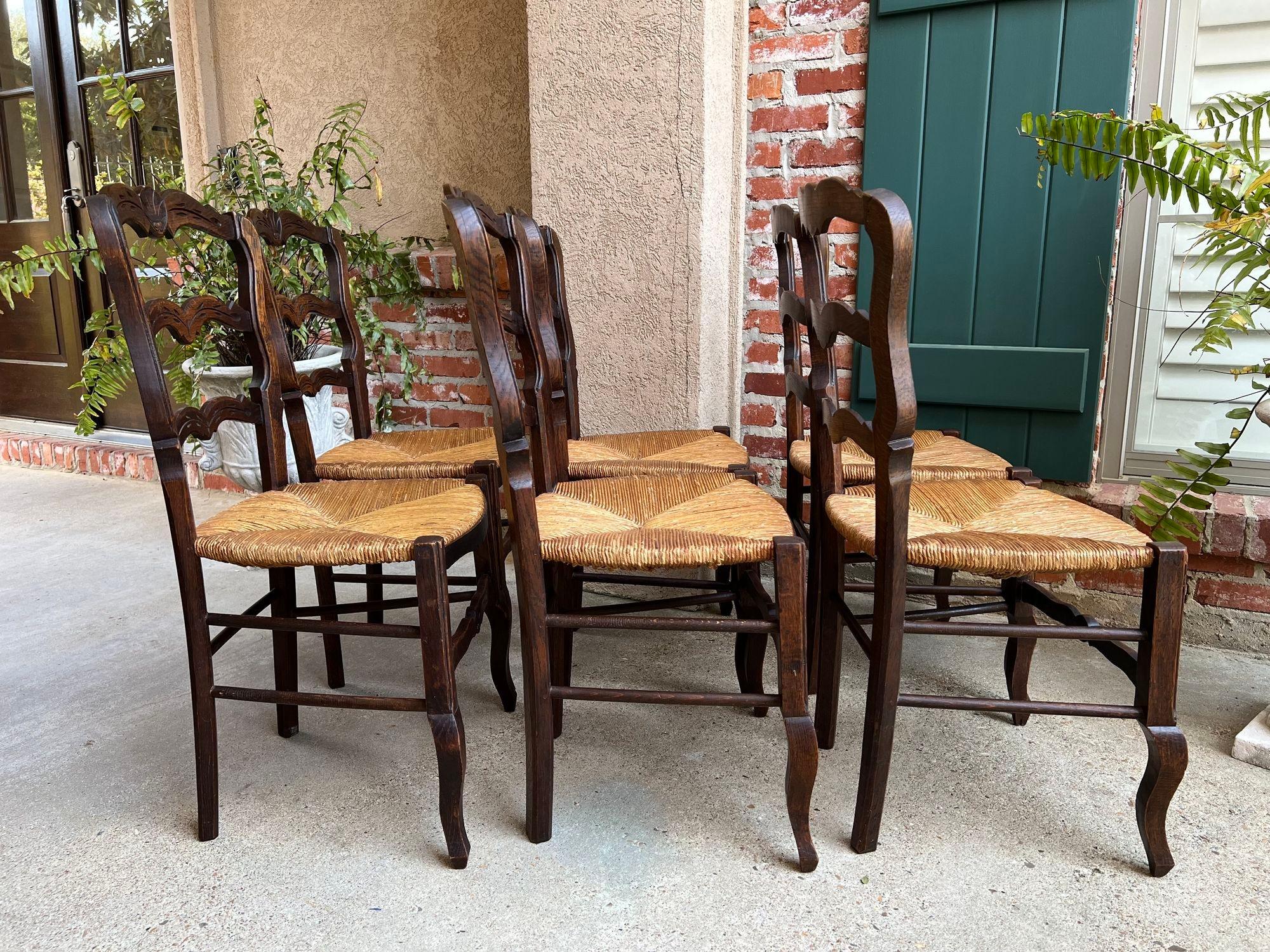 Set 6 Vintage French Dining Chair Rush Seat Louis XV Ladder Back Carved Oak 4
