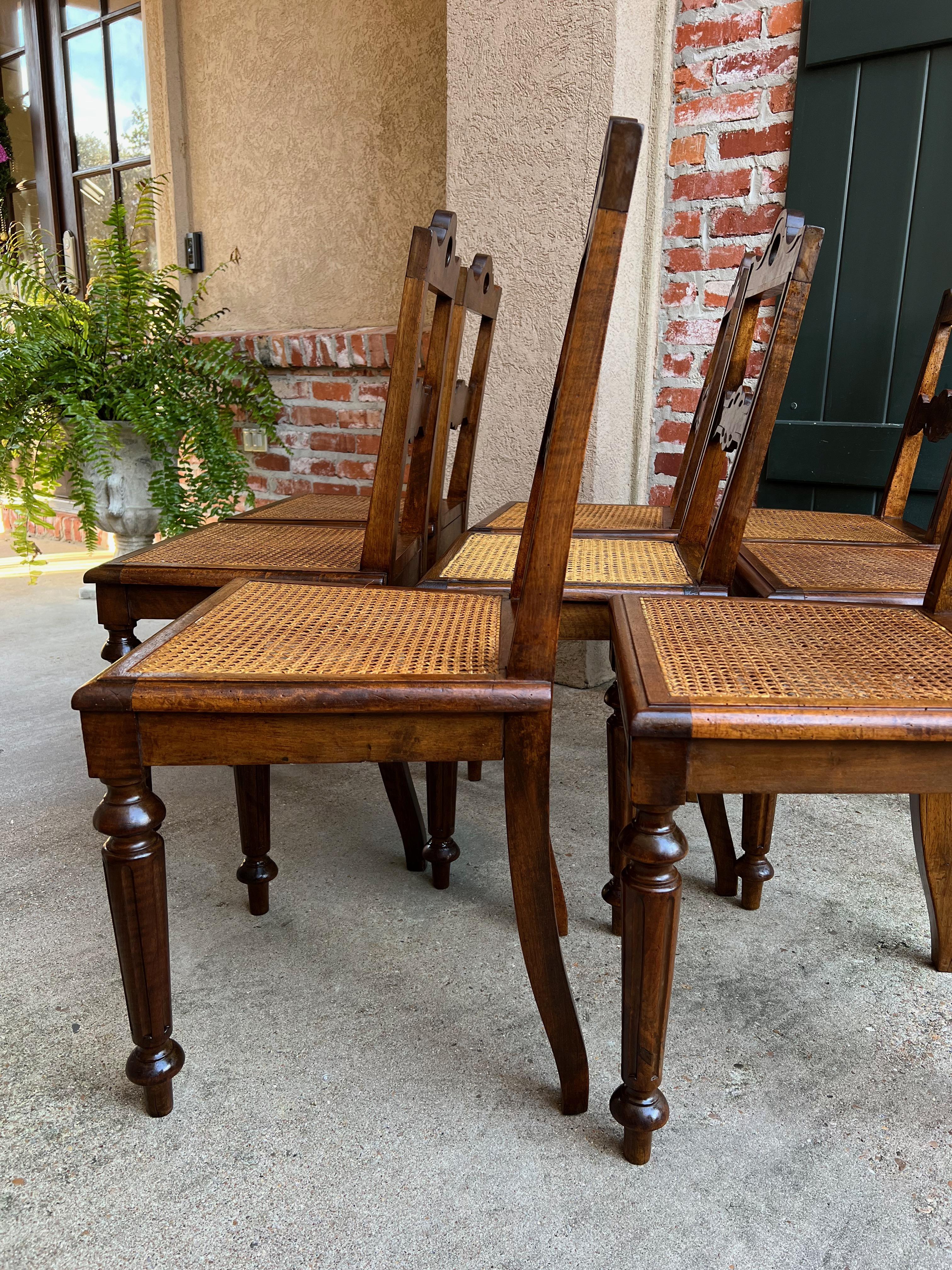 Set 8 Antique French Provincial Carved Oak Ladder Back Dining Chair Cane Seat 13