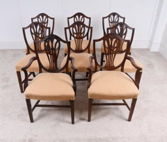 Set 8 Hepplewhite Dining Chairs Mahogany Revival