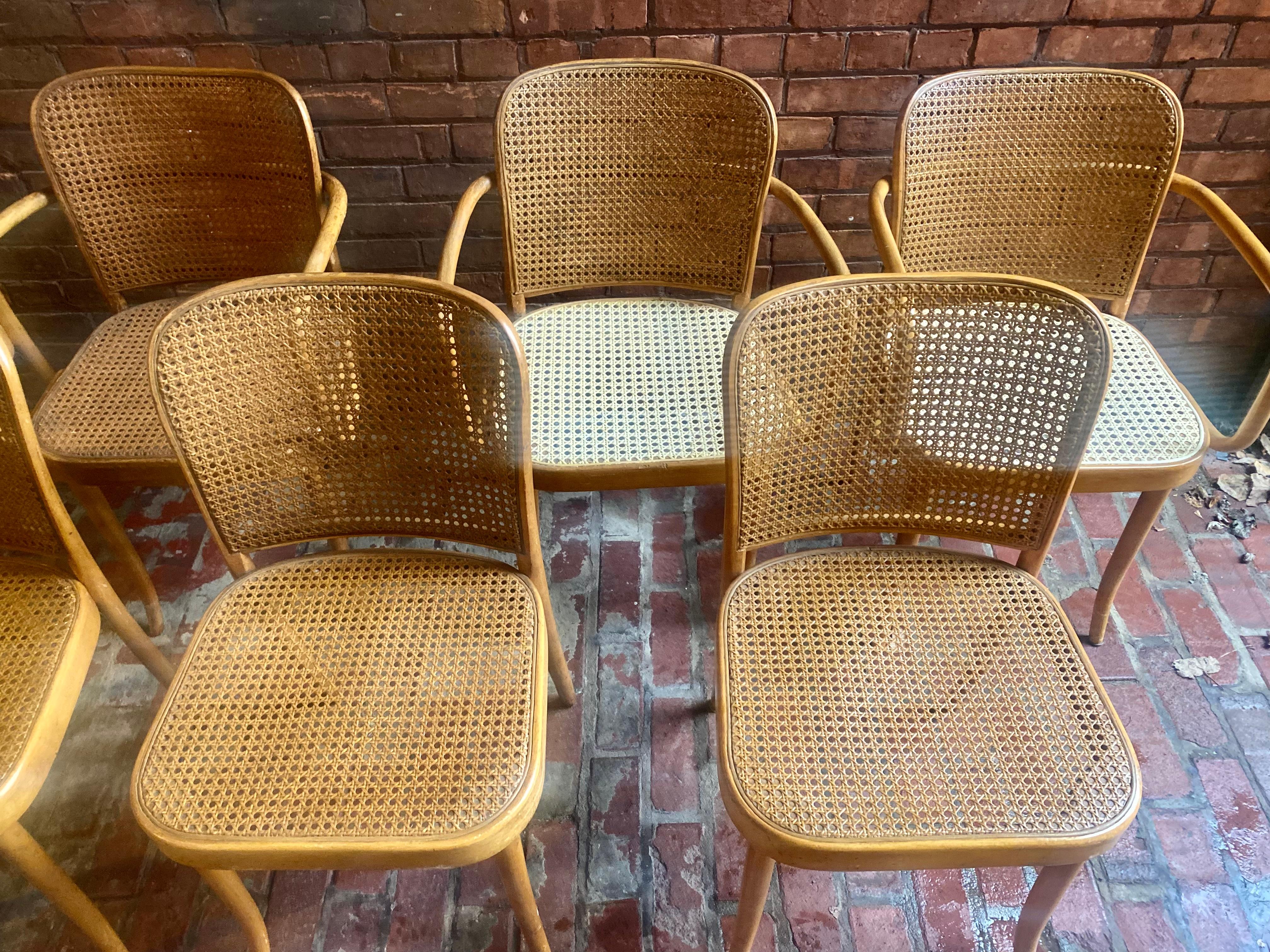 Set 8 Josef Hoffmann for Stendig Dining Chairs, Bentwood Prague Model 811 For Sale 3