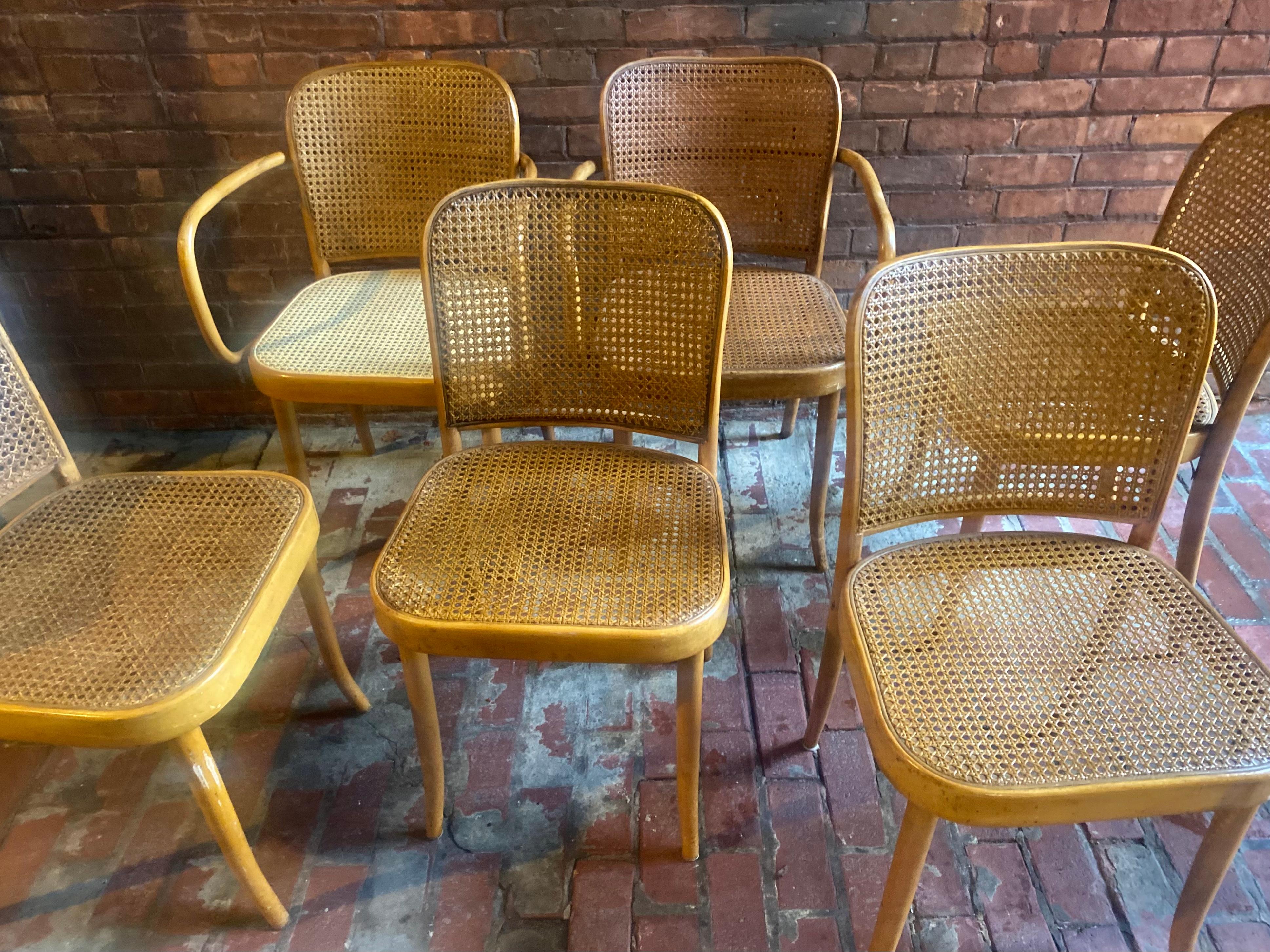 Set 8 Josef Hoffmann for Stendig Dining Chairs, Bentwood Prague Model 811,,, Nice set consisting of 4 armchairs and 4 side chairs,, 3 of the armchairs have newer caned seats,,(can be stained to match) bentwood frames in nice original