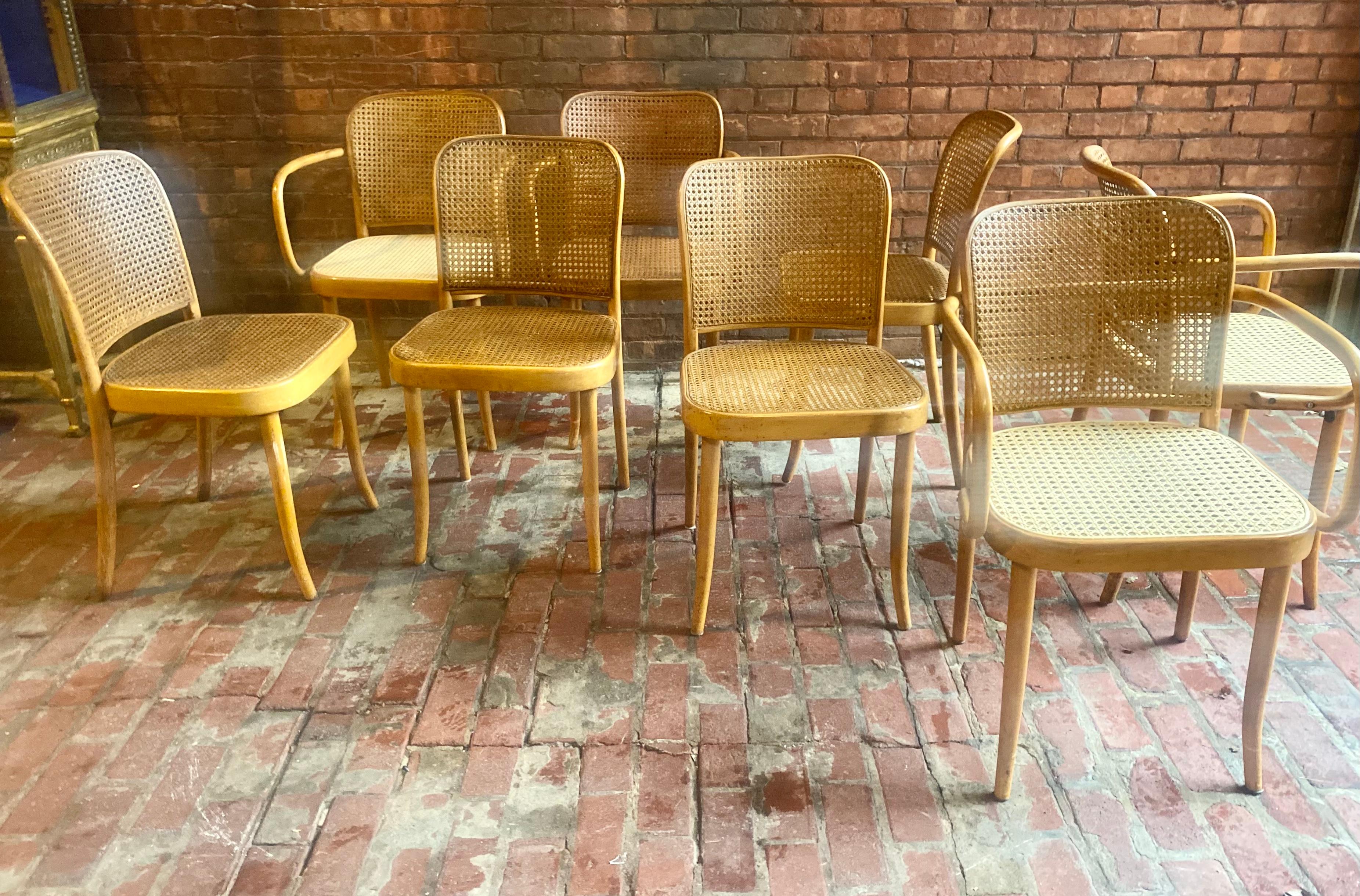 Bauhaus Set 8 Josef Hoffmann for Stendig Dining Chairs, Bentwood Prague Model 811 For Sale