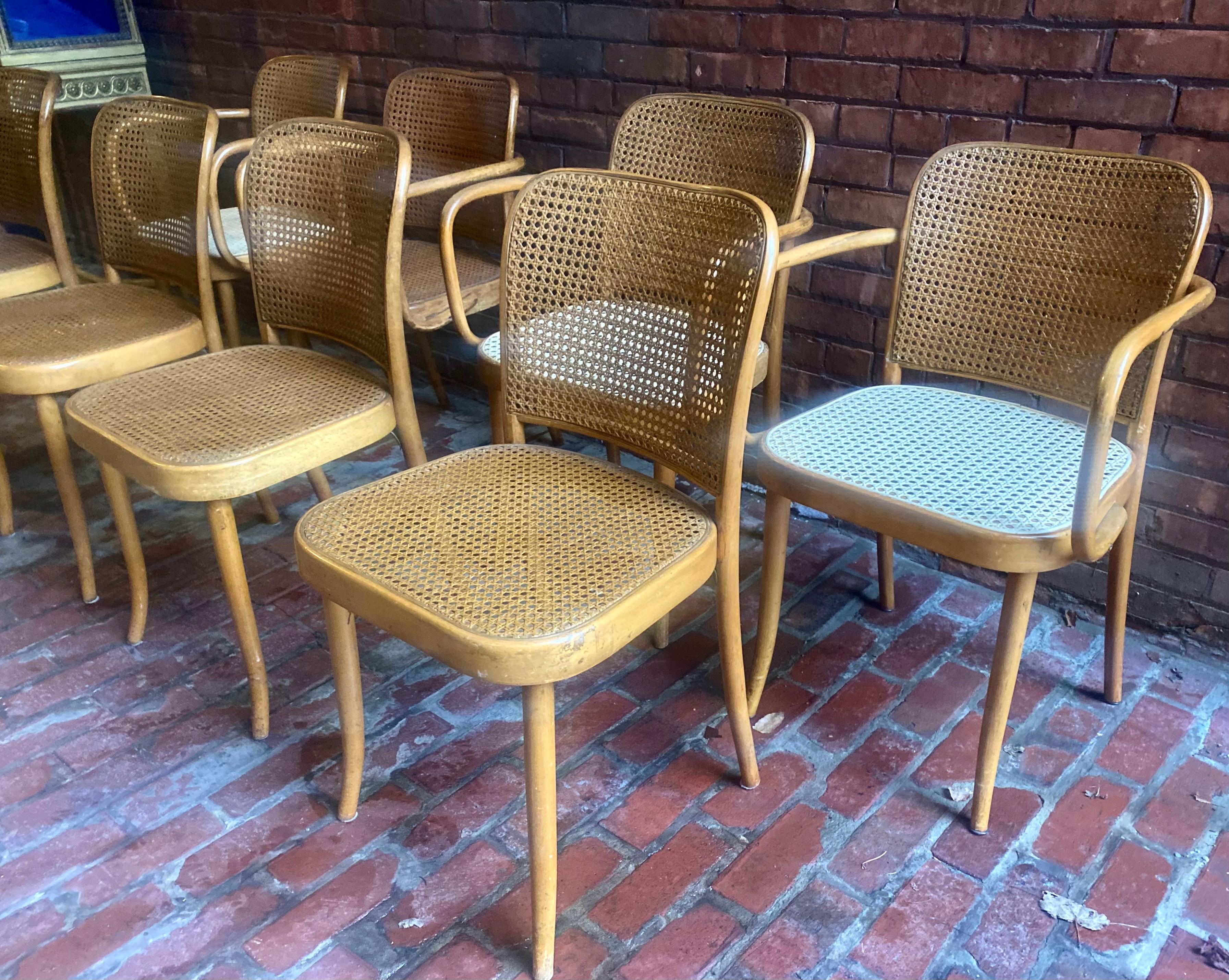 Mid-20th Century Set 8 Josef Hoffmann for Stendig Dining Chairs, Bentwood Prague Model 811 For Sale