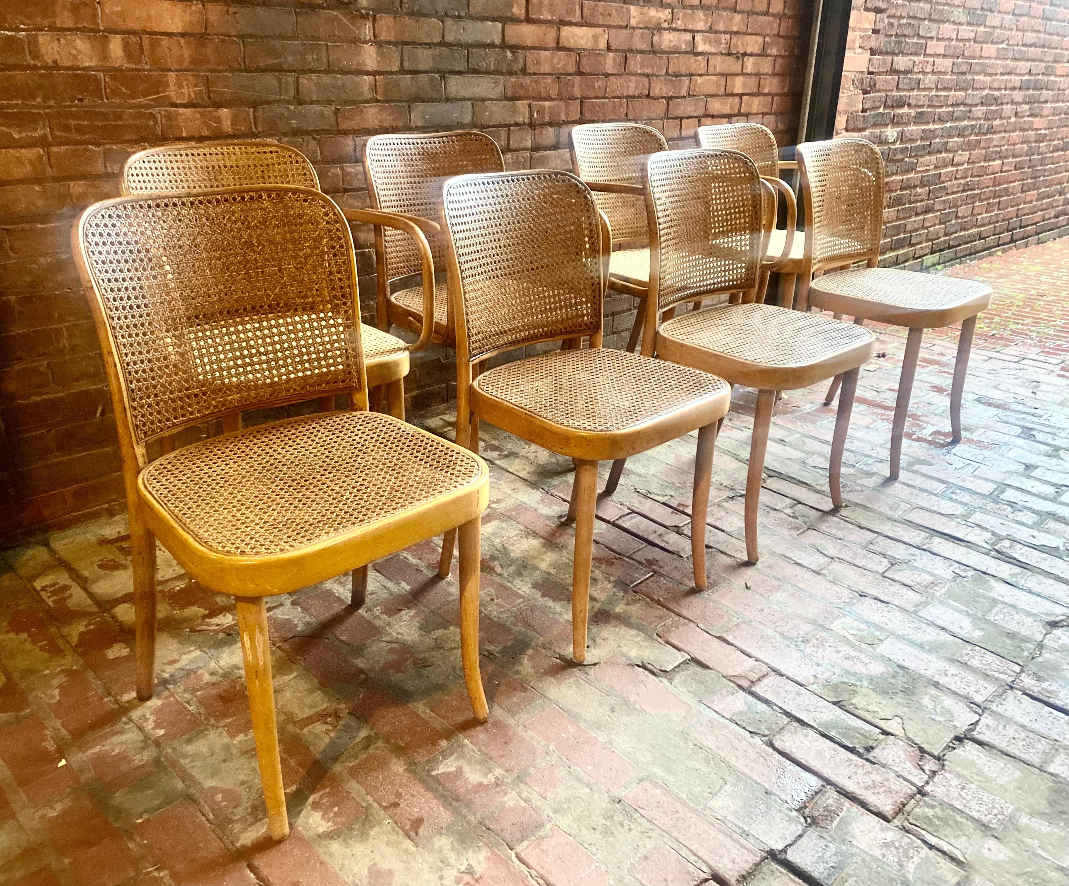 Set 8 Josef Hoffmann for Stendig Dining Chairs, Bentwood Prague Model 811 For Sale 1