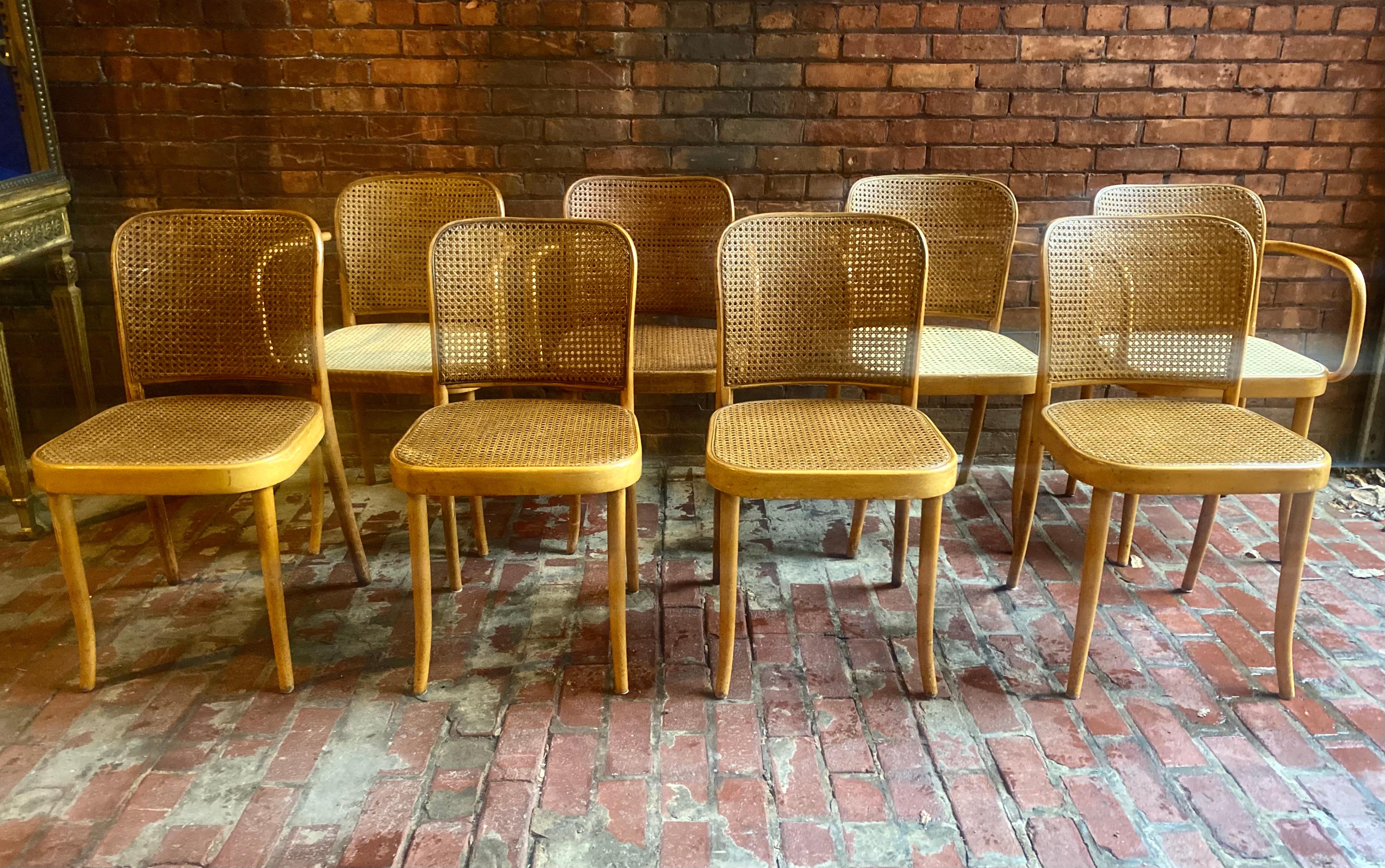 Set 8 Josef Hoffmann for Stendig Dining Chairs, Bentwood Prague Model 811 For Sale 2