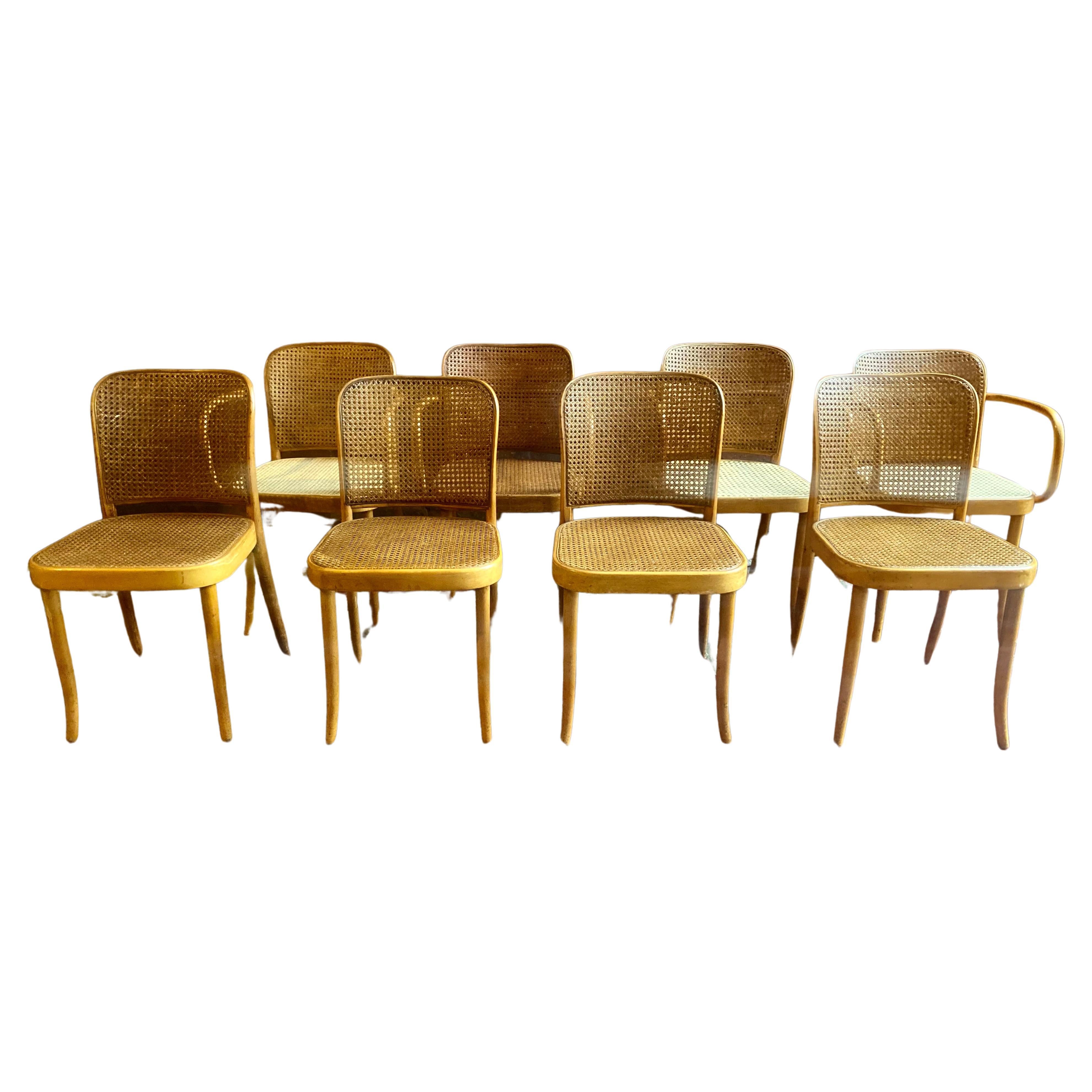 Ensemble de 8 chaises de salle à manger Josef Hoffmann pour Stendig, bois cintré Prague Modèle 811