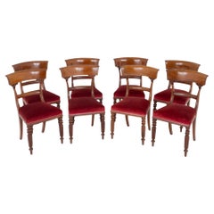 Set 8 William IV Dining Chairs 19th Century