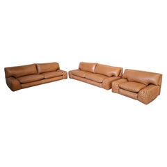 Conjunto "Bengodi" - Diseño Cini Boeri para Arflex Italia (2 Sofás + Sillón)