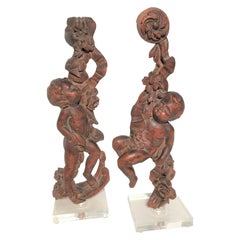 Set  Boiserie Trophy Decoration Fragments or Appliques of Cherubs