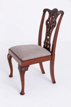 Set Chippendale Dining Chairs Mahogany 8