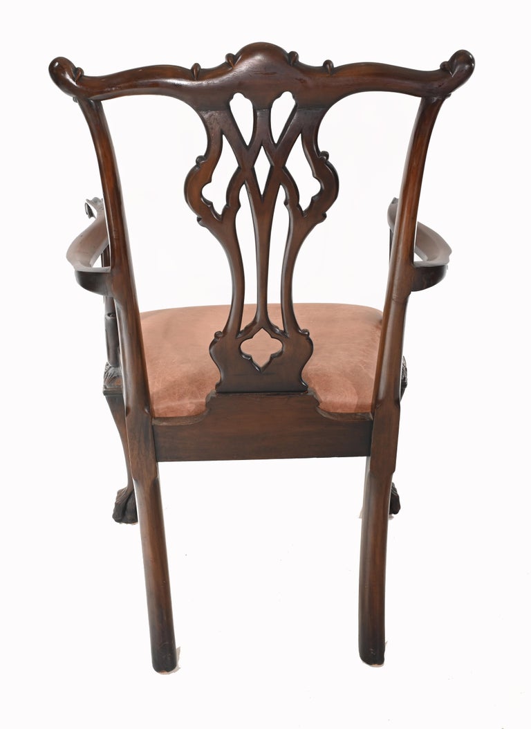 Set Chippendale Dining Chairs Mahogany Antique 1890 Ball Claw at 1stDibs
