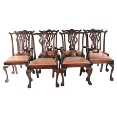 Set Chippendale Dining Chairs Mahogany Antique 1890 Ball Claw