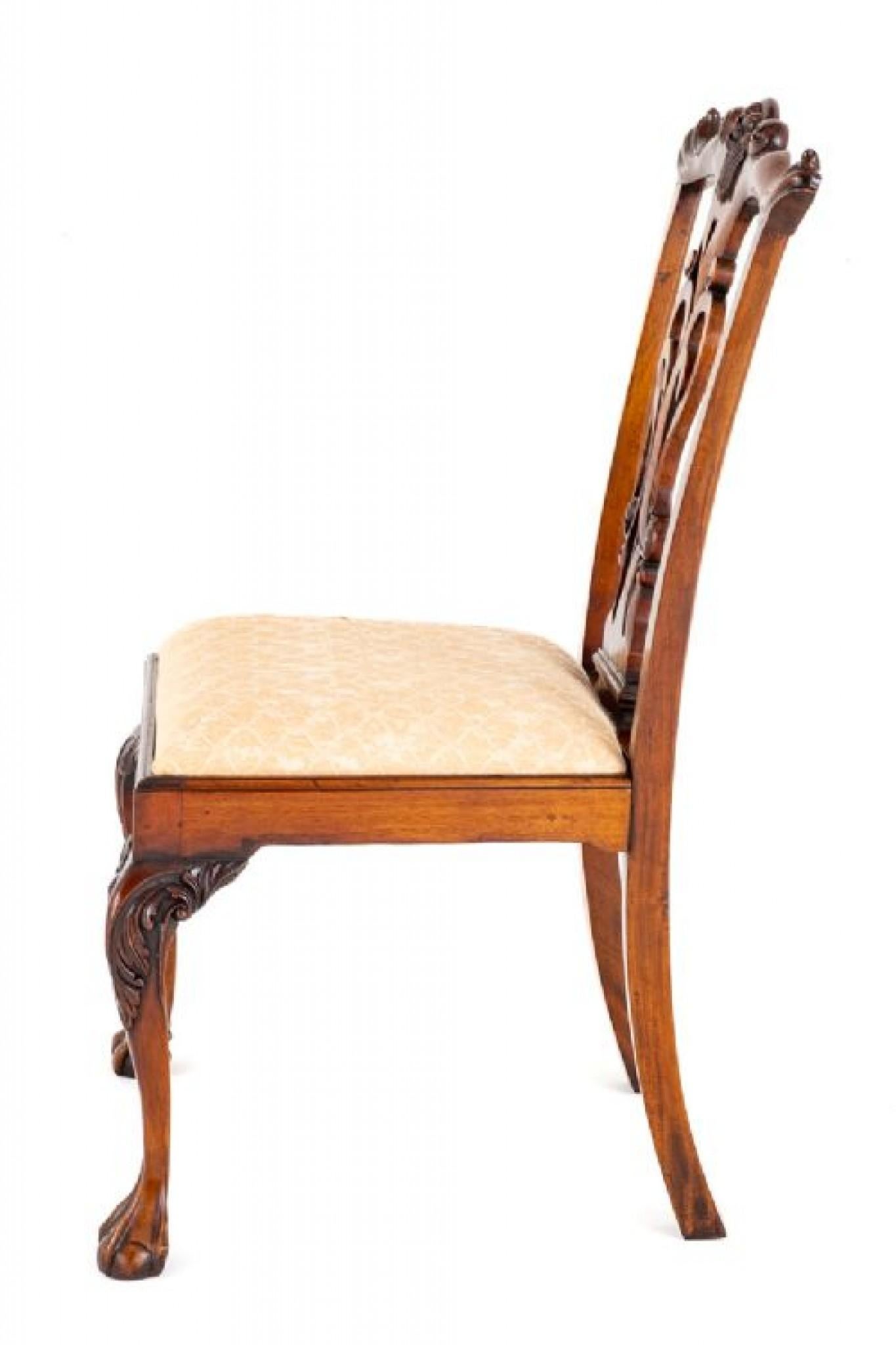 Set Chippendale Dining Chairs Mahogany Ball and Claw 7