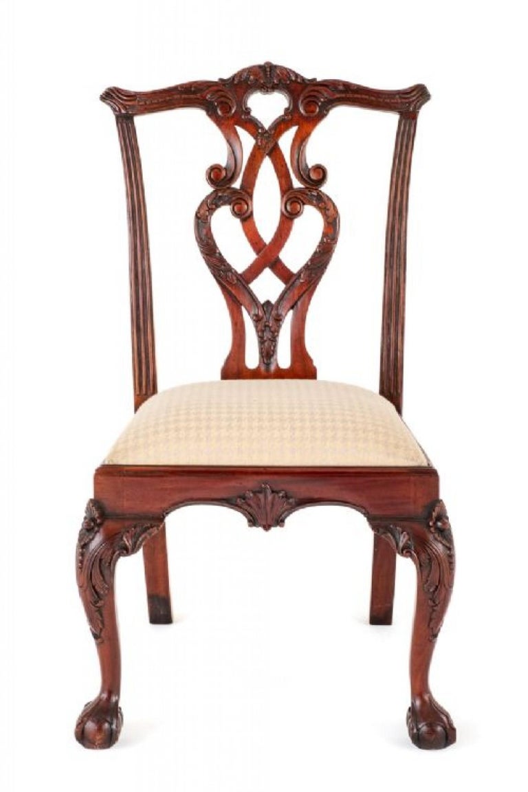Set Chippendale Dining Chairs Mahogany Ball and Claw For Sale at 1stDibs