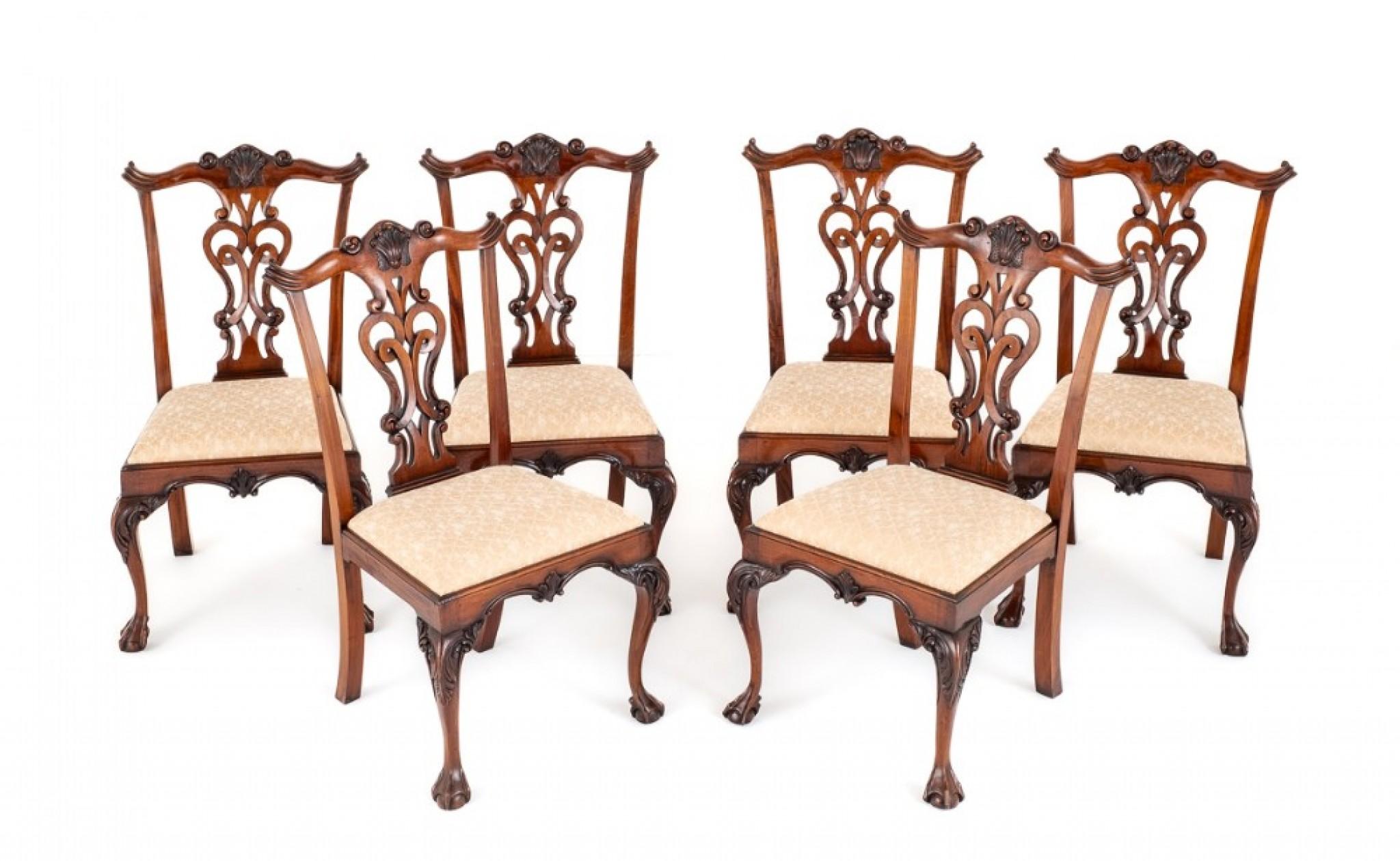 Set Chippendale Dining Chairs Mahogany Ball and Claw In Good Condition In Potters Bar, GB