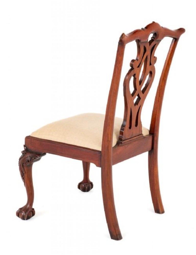 Set Chippendale Dining Chairs Mahogany Ball and Claw For Sale at 1stDibs