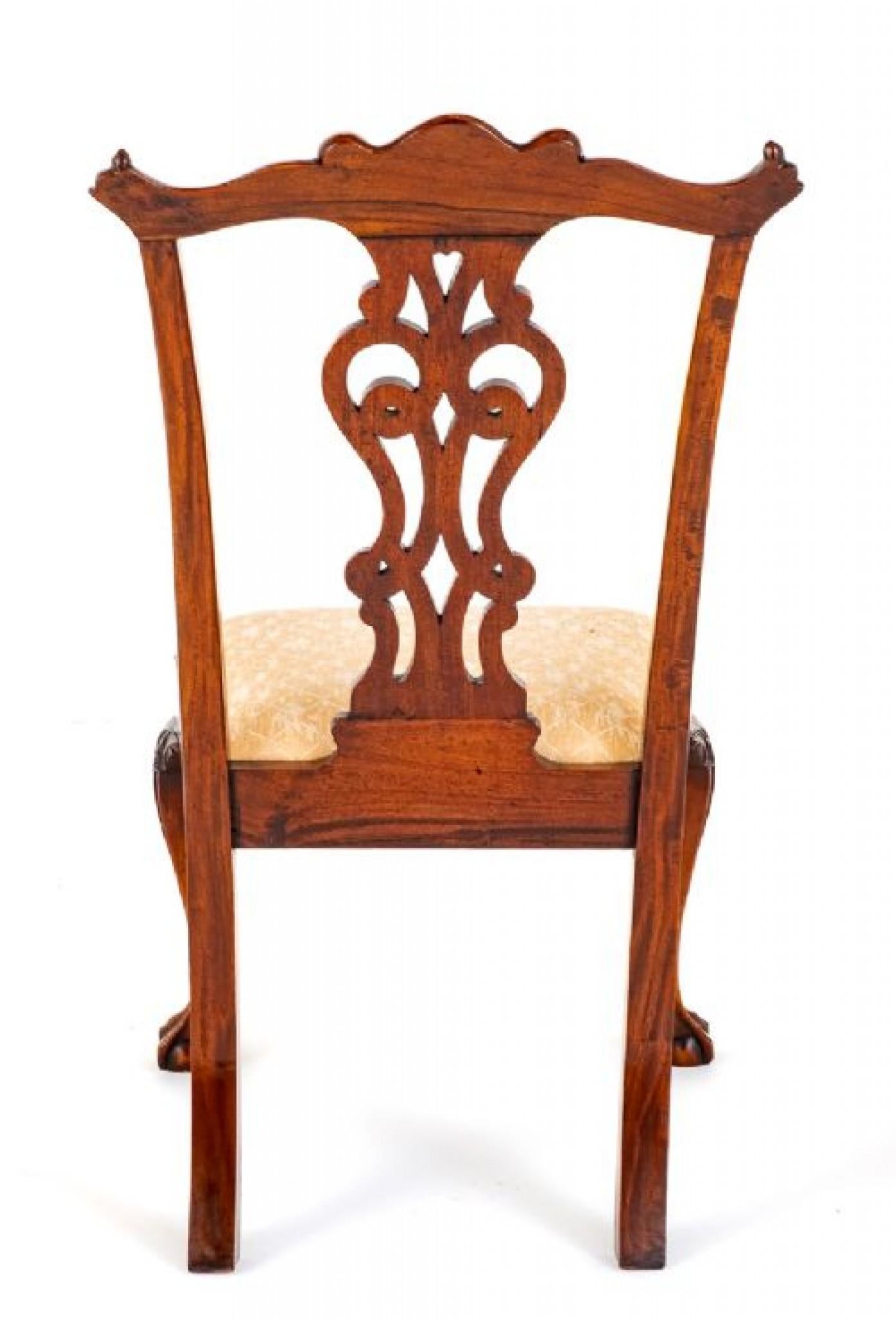 Set Chippendale Dining Chairs Mahogany Ball and Claw 1