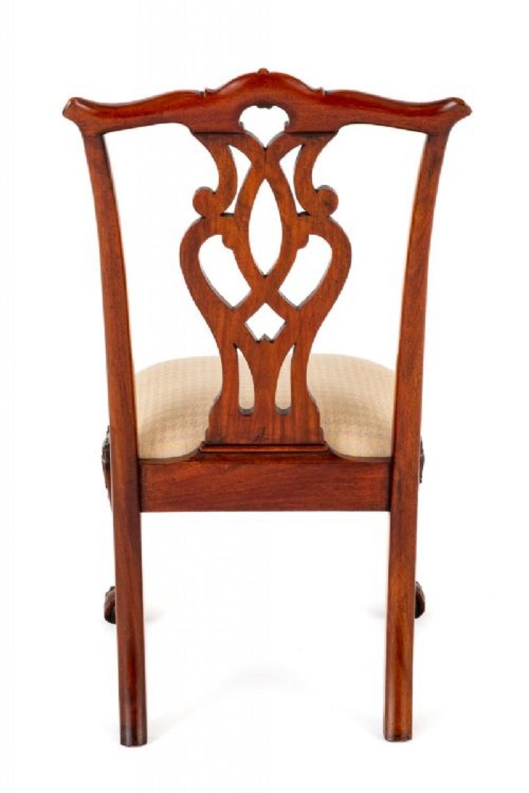 Set Chippendale Dining Chairs Mahogany Ball and Claw For Sale at 1stDibs
