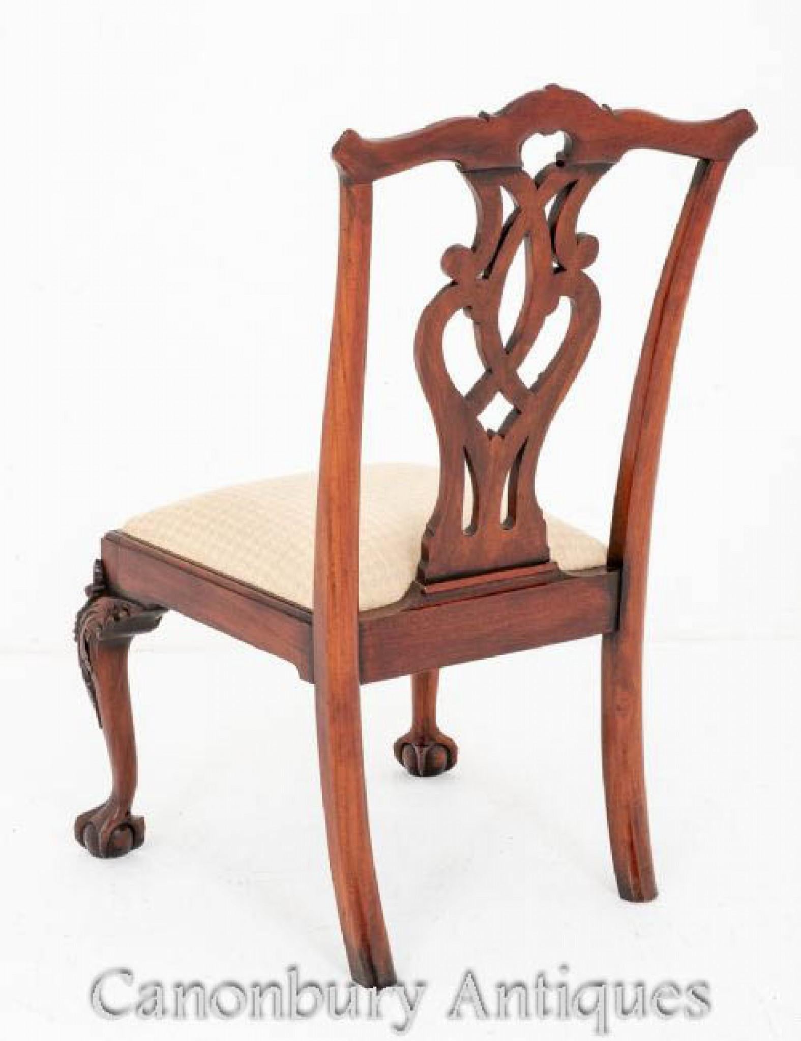Set Chippendale Dining Chairs Mahogany Set 8 For Sale 3