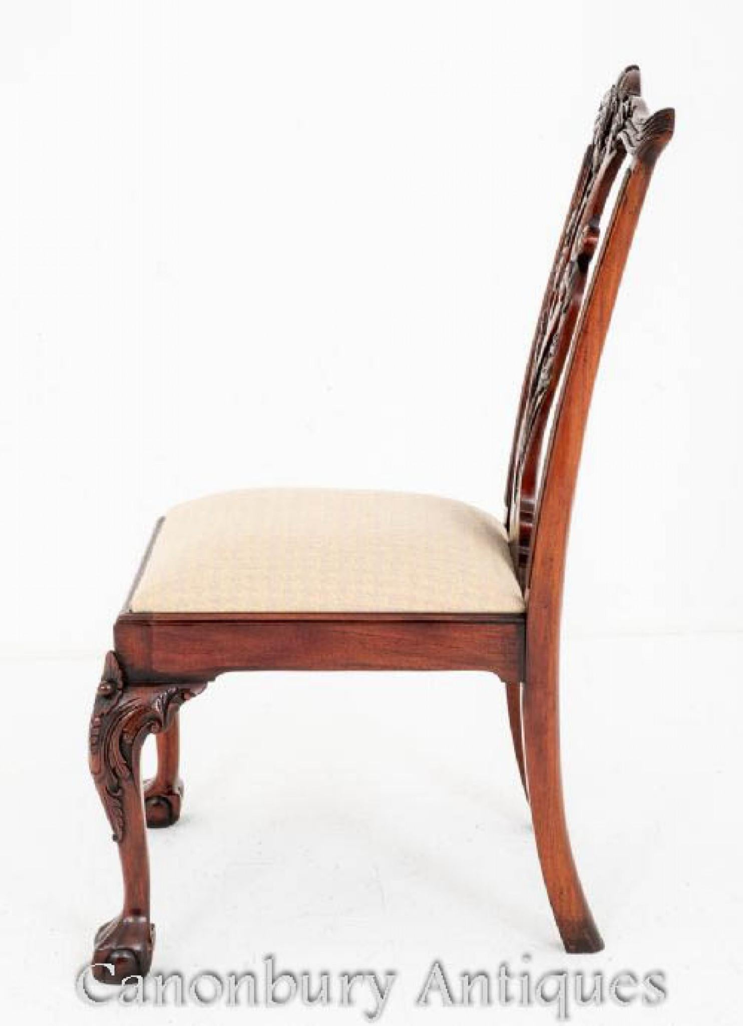 Set Chippendale Dining Chairs Mahogany Set 8 For Sale 4