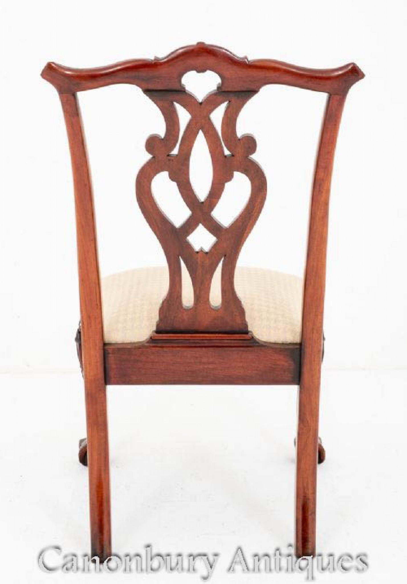 Set Chippendale Dining Chairs Mahogany Set 8 For Sale 5