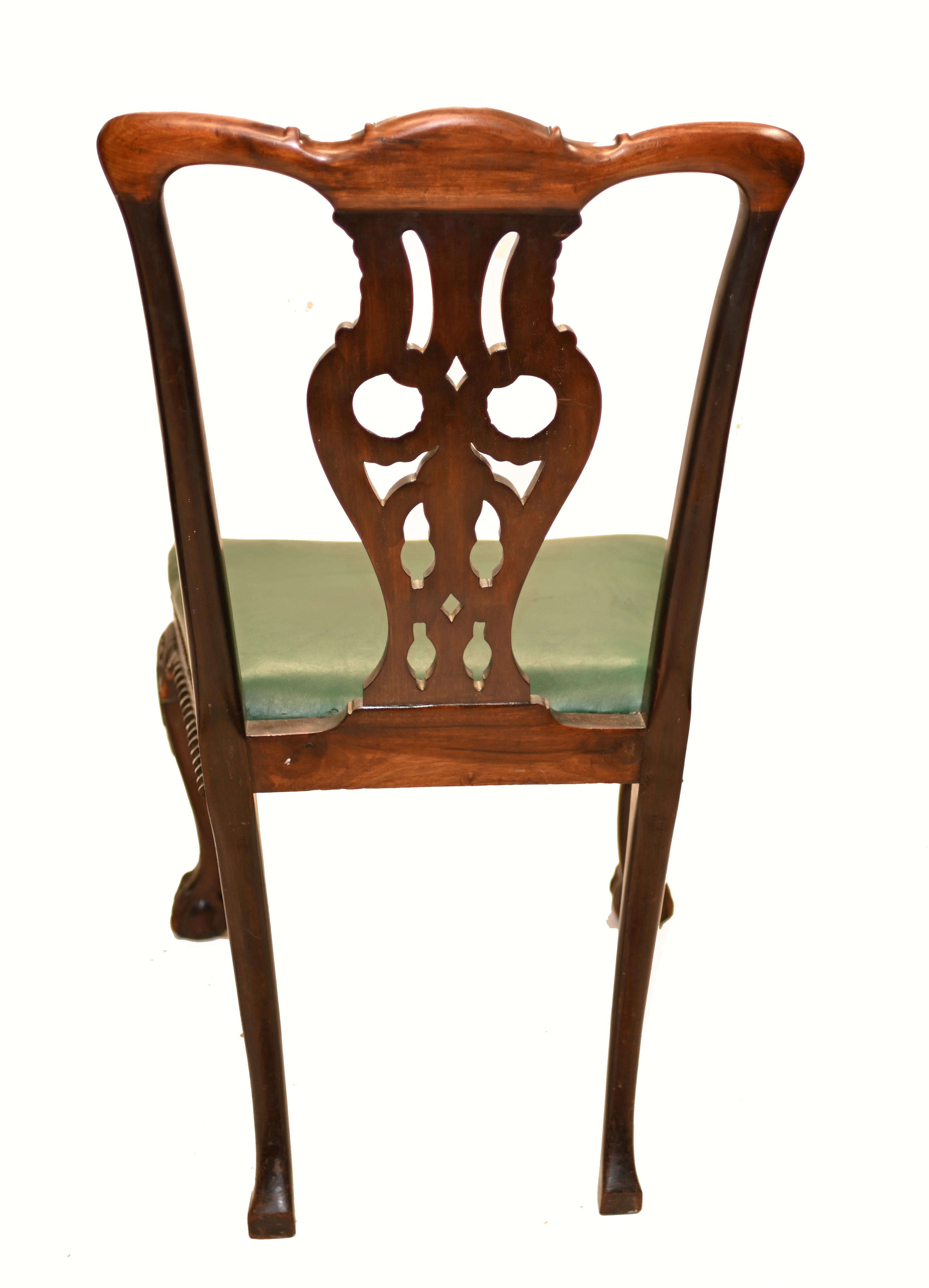 Set Chippendale Dining Chairs Shoolbred and Co. Antique, 1890 For Sale 2
