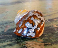 Set Consisting of Four Shells of Different Shapes of Mother-of-pearl