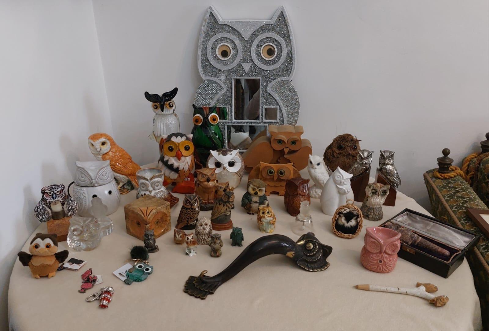 L'ensemble est composé d'objets représentant des hiboux, fabriqués dans divers matériaux et d'origines variées, mais datant principalement du 20e siècle. L'ensemble comprend quarante-deux pièces, dont des exemples en : coquillage, bois, marbre,
