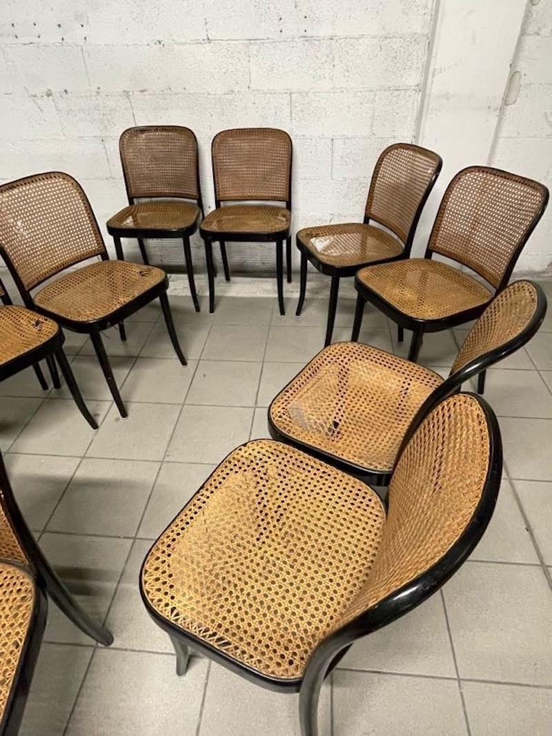 Juego de 10 sillas modelo 811 años 70, fabricación Drevounia en venta 6