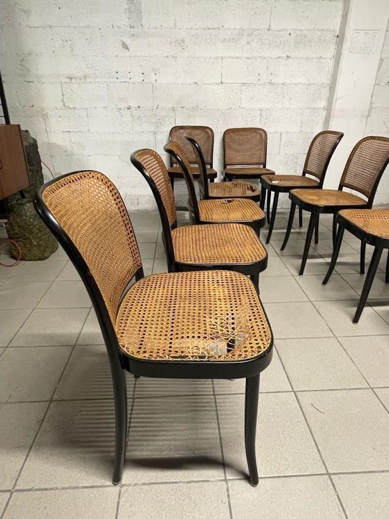 Juego de 10 sillas modelo 811 años 70, fabricación Drevounia en venta 10