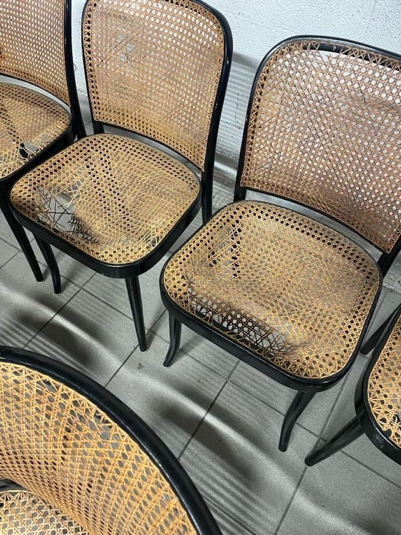 Juego de 10 sillas modelo 811 años 70, fabricación Drevounia en venta 12