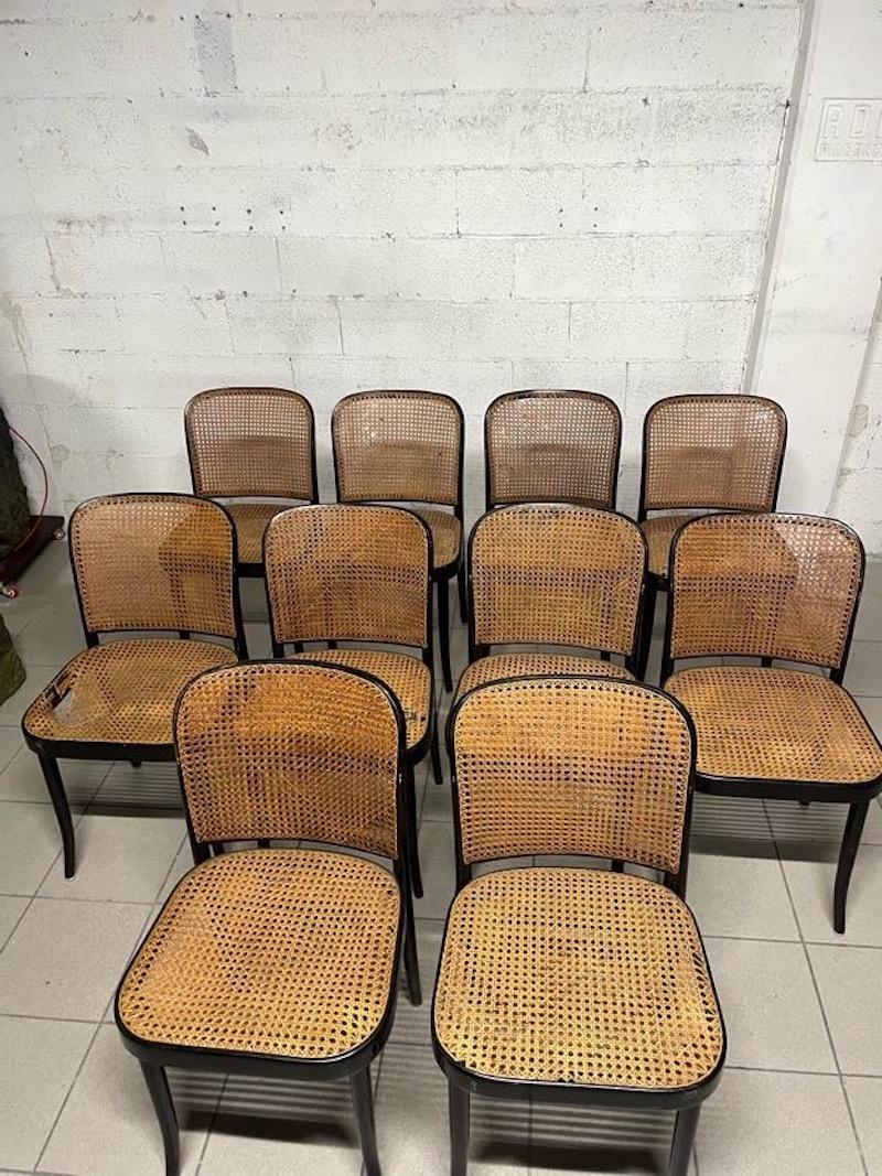 Juego de 10 sillas modelo 811 años 70, fabricación Drevounia Czech en venta