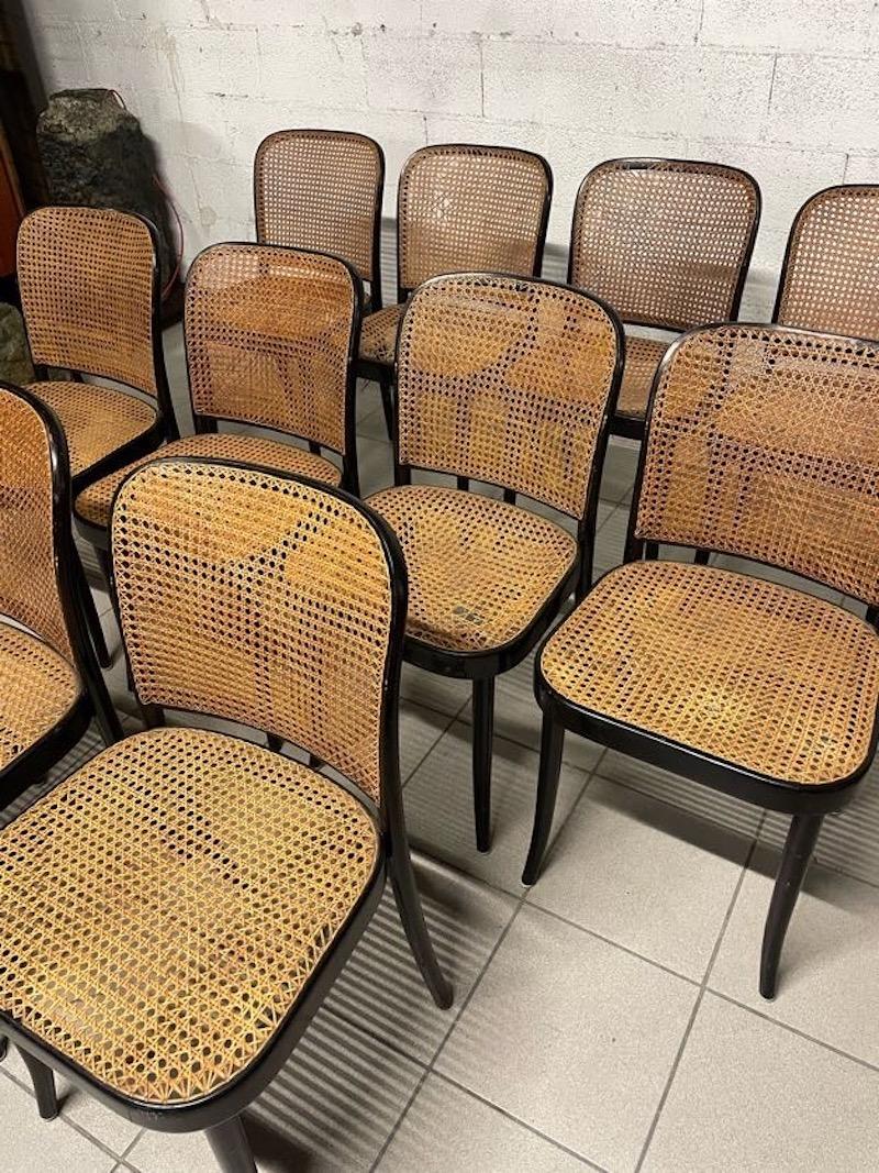 Juego de 10 sillas modelo 811 años 70, fabricación Drevounia en Bueno estado para la venta en SAN PIETRO MOSEZZO, NO