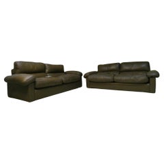 Set of 2 Petronio 603 Sofas by Tito Agnoli for Poltrona Frau, Italy
