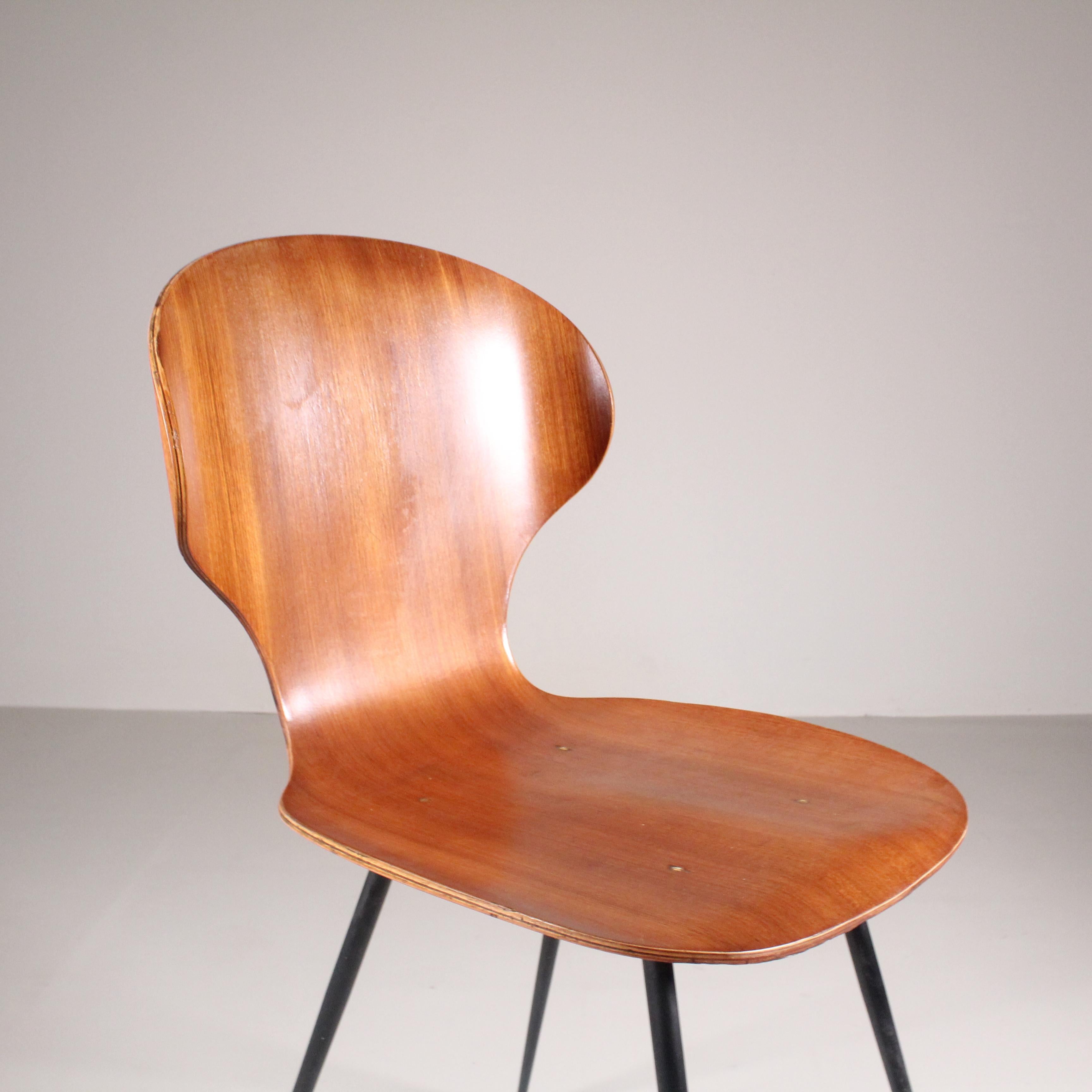 Set of 4 Lulli Chairs, Carlo Ratti, Curved Woods Industry, 1950s For Sale 1