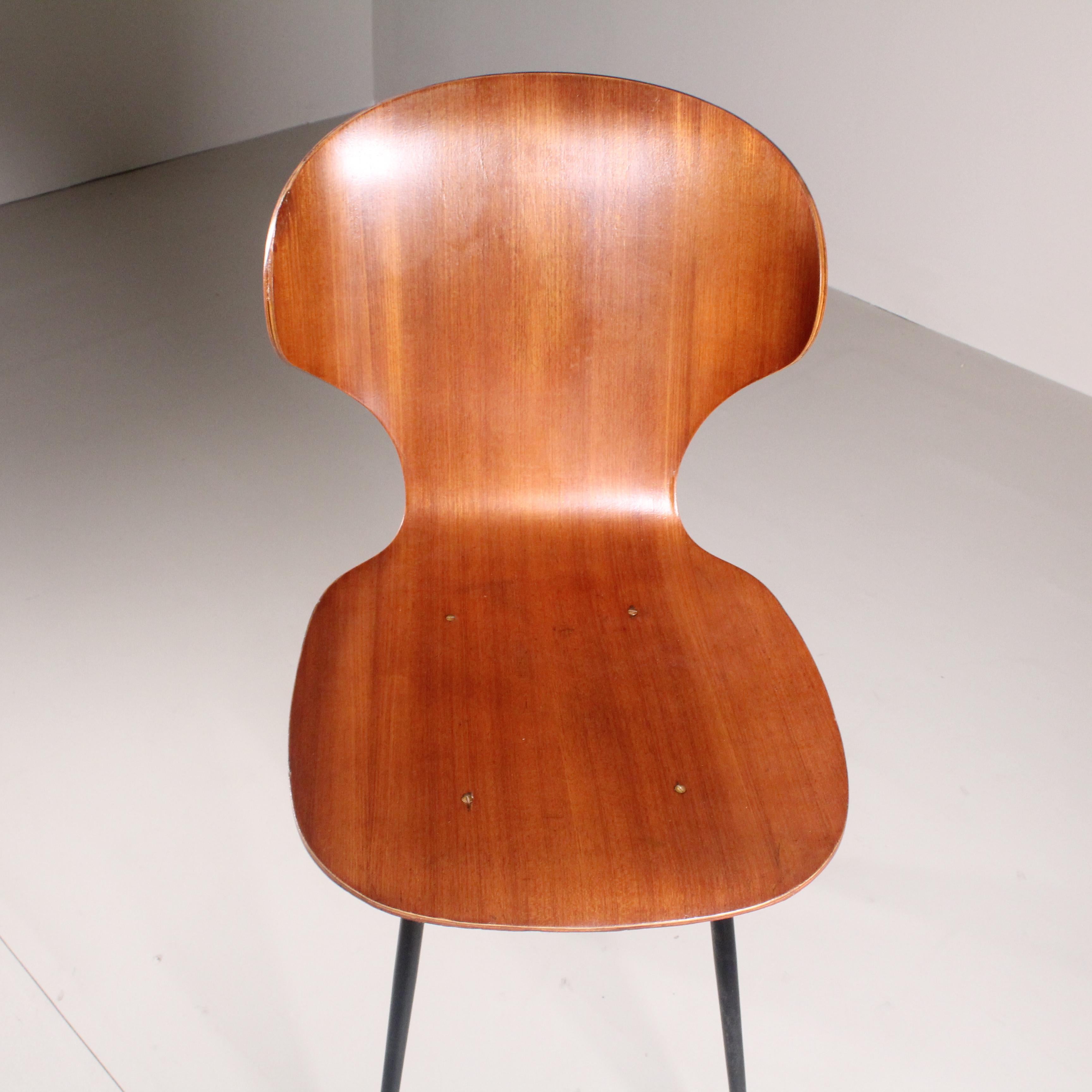 Set of 4 Lulli Chairs, Carlo Ratti, Curved Woods Industry, 1950s For Sale 2