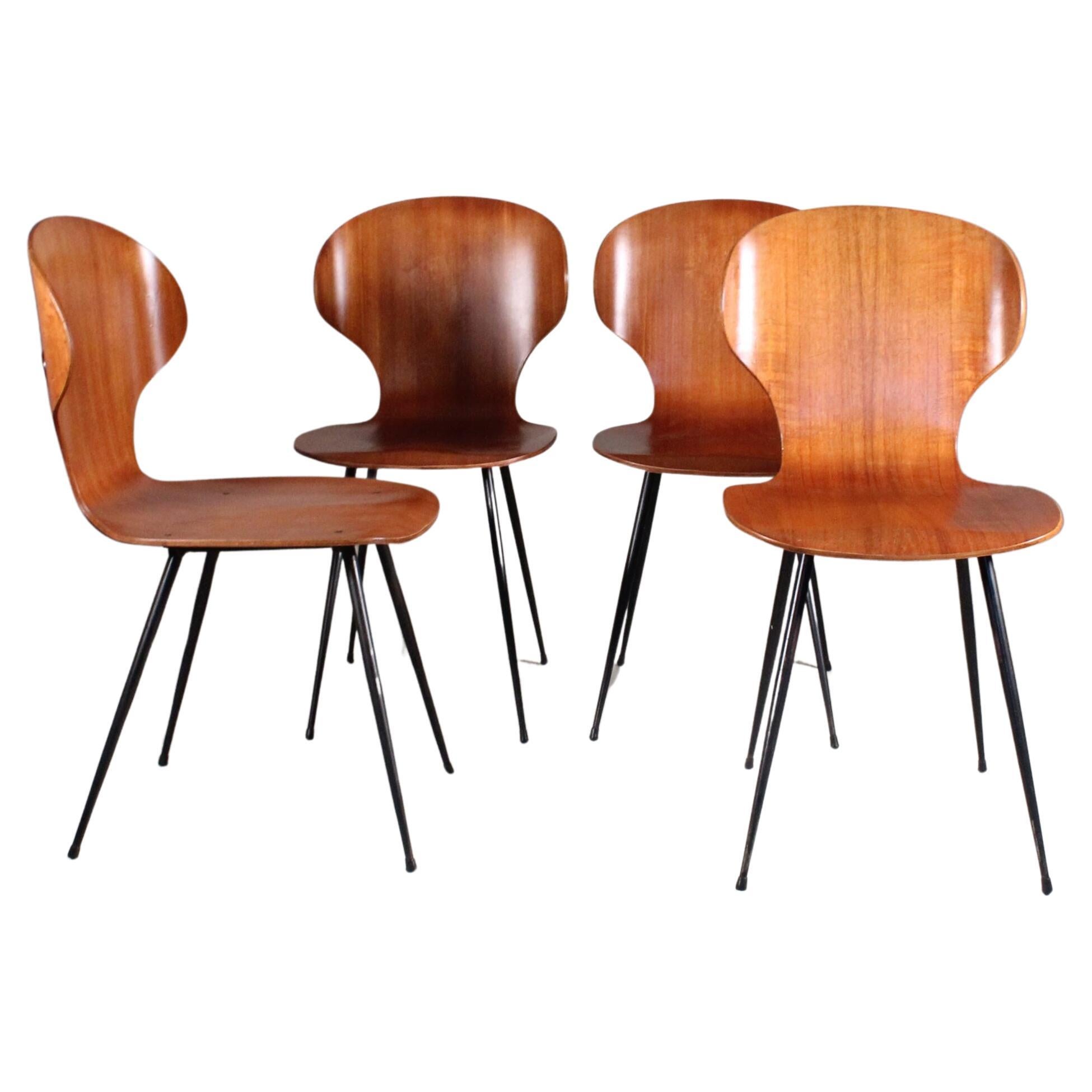 Set of 4 Lulli Chairs, Carlo Ratti, Curved Woods Industry, 1950s For Sale