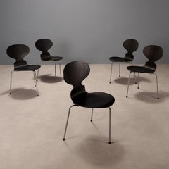 Juego de cinco sillas 'Ant' de Arne Jacobsen para Fritz Hansen años 70-80