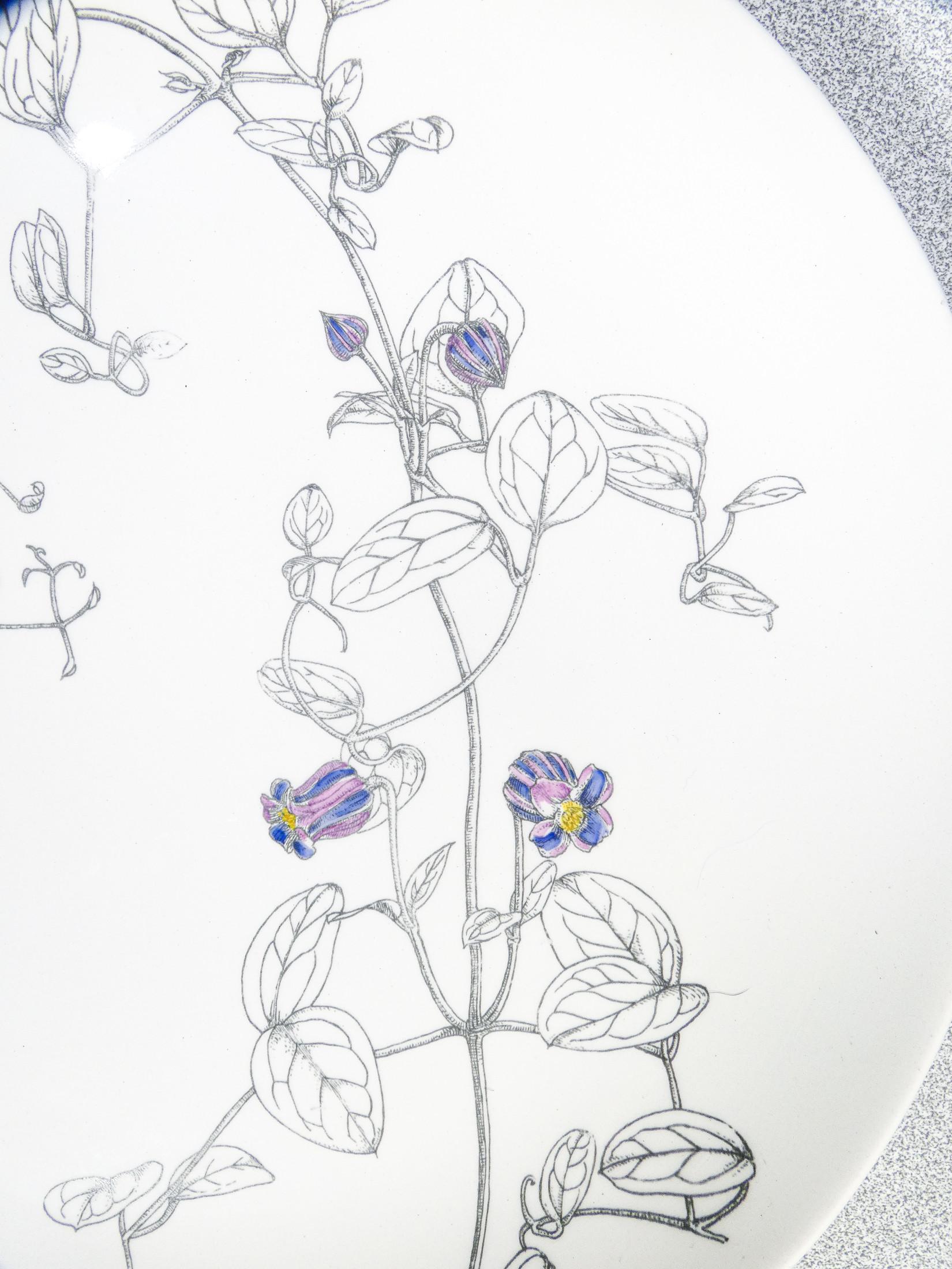 Juego de seis platos, diseño Piero FORNASETTI serie Clematitas. Milán, años 50 en Bueno estado para la venta en Torino, IT