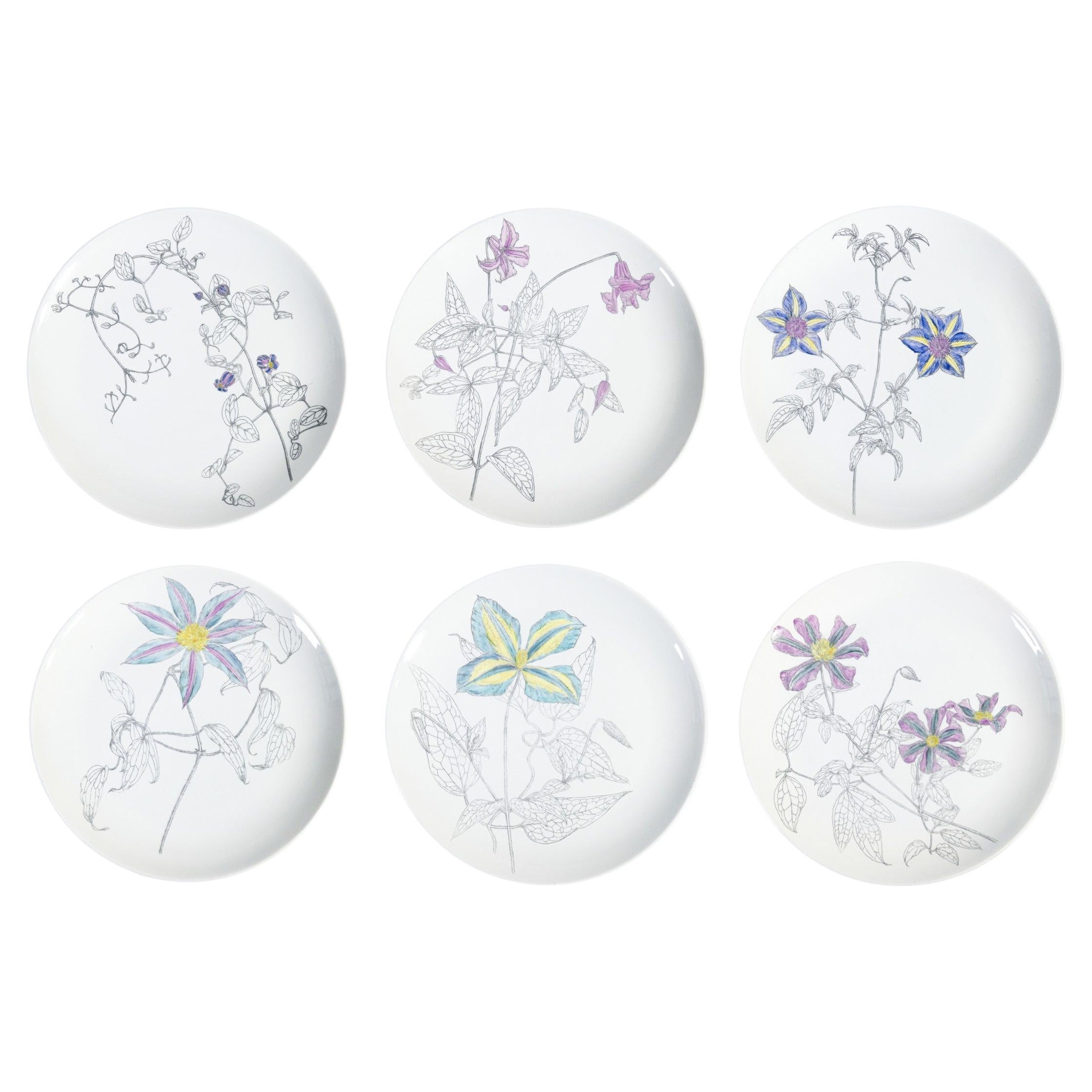 Juego de seis platos, diseño Piero FORNASETTI serie Clematitas. Milán, años 50