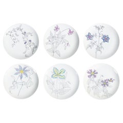 Set di sei piatti, design Piero FORNASETTI serie Clematites. Milano, Anni 50