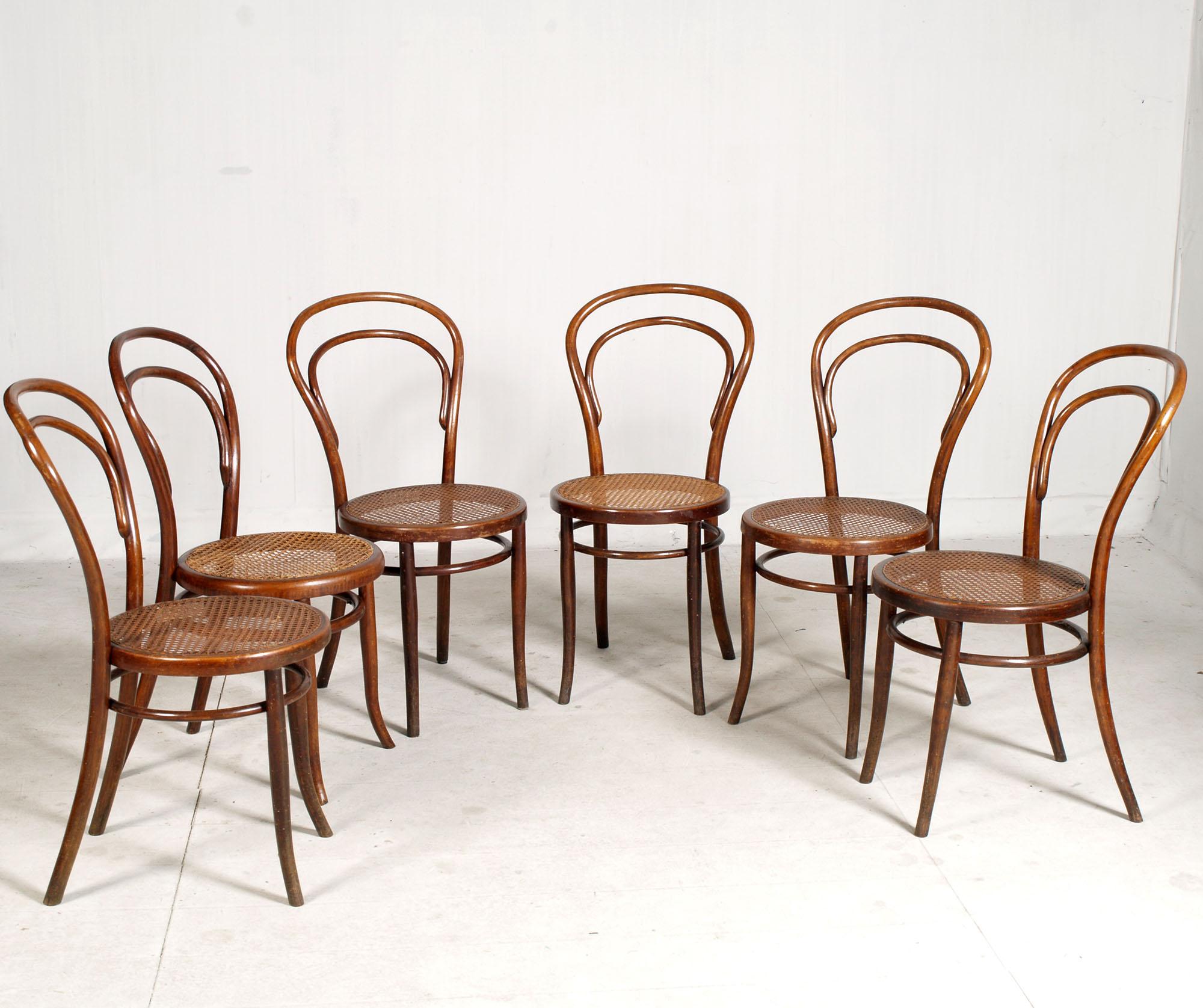 Faggio Sei Sedie Thonet 14, legno curvato, seduta paglia di Vienna, finitura gommalacca in vendita